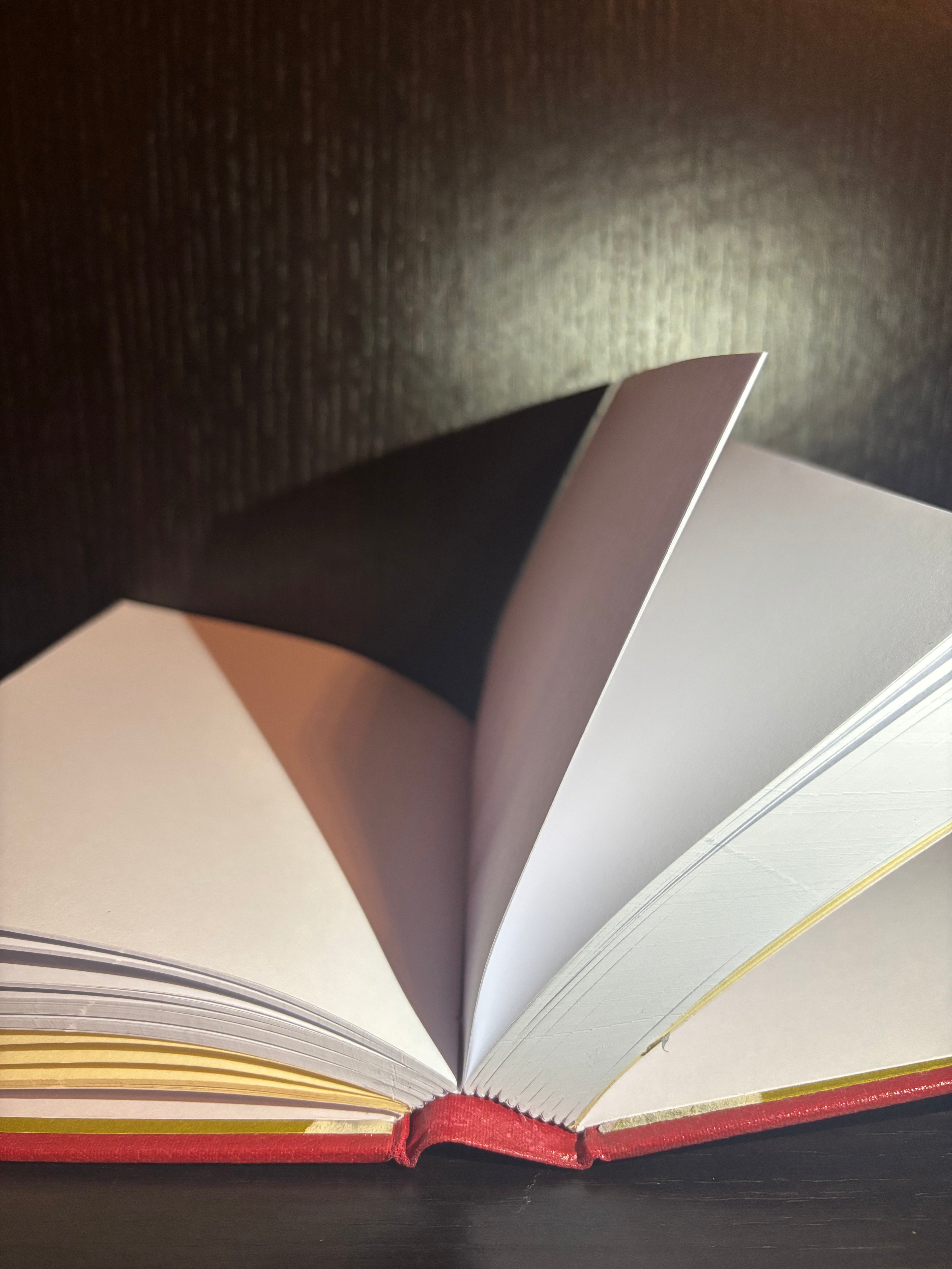 Around the World in Eighty Days (1984) Plain Notebook