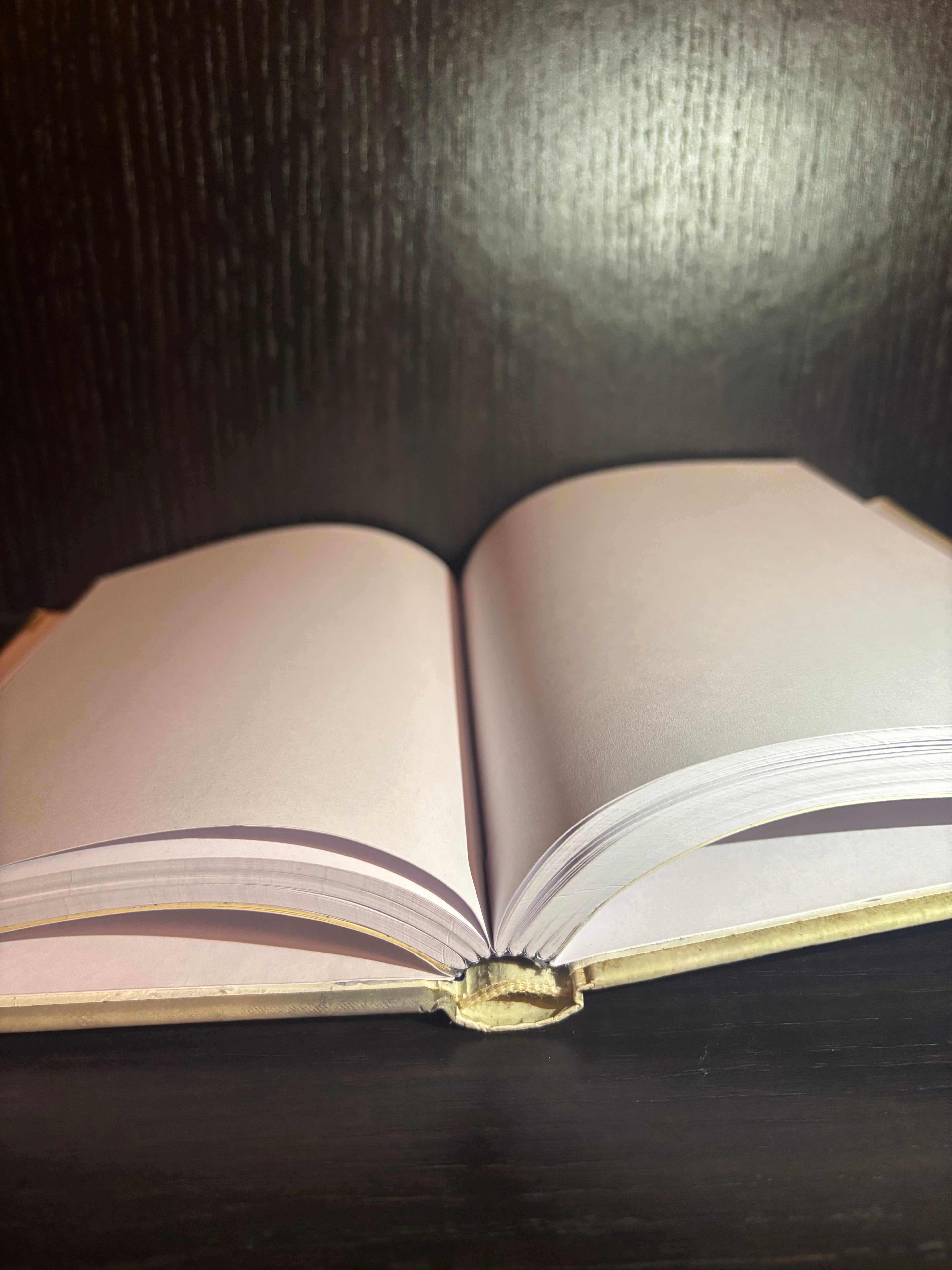 The Importance of Being Earnest (2018) Plain Notebook