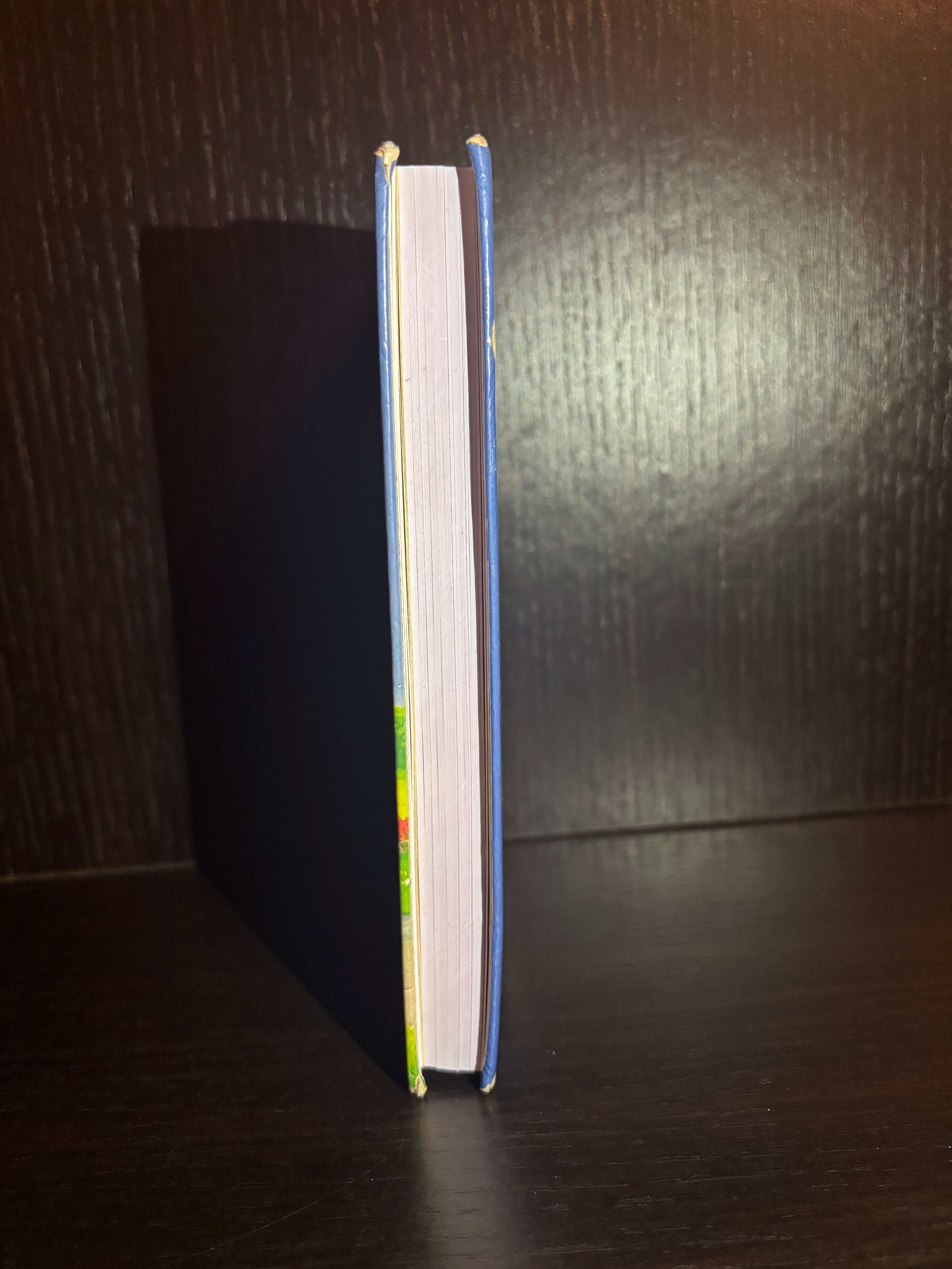 Look Out For The Elephant (1996) Plain Notebook