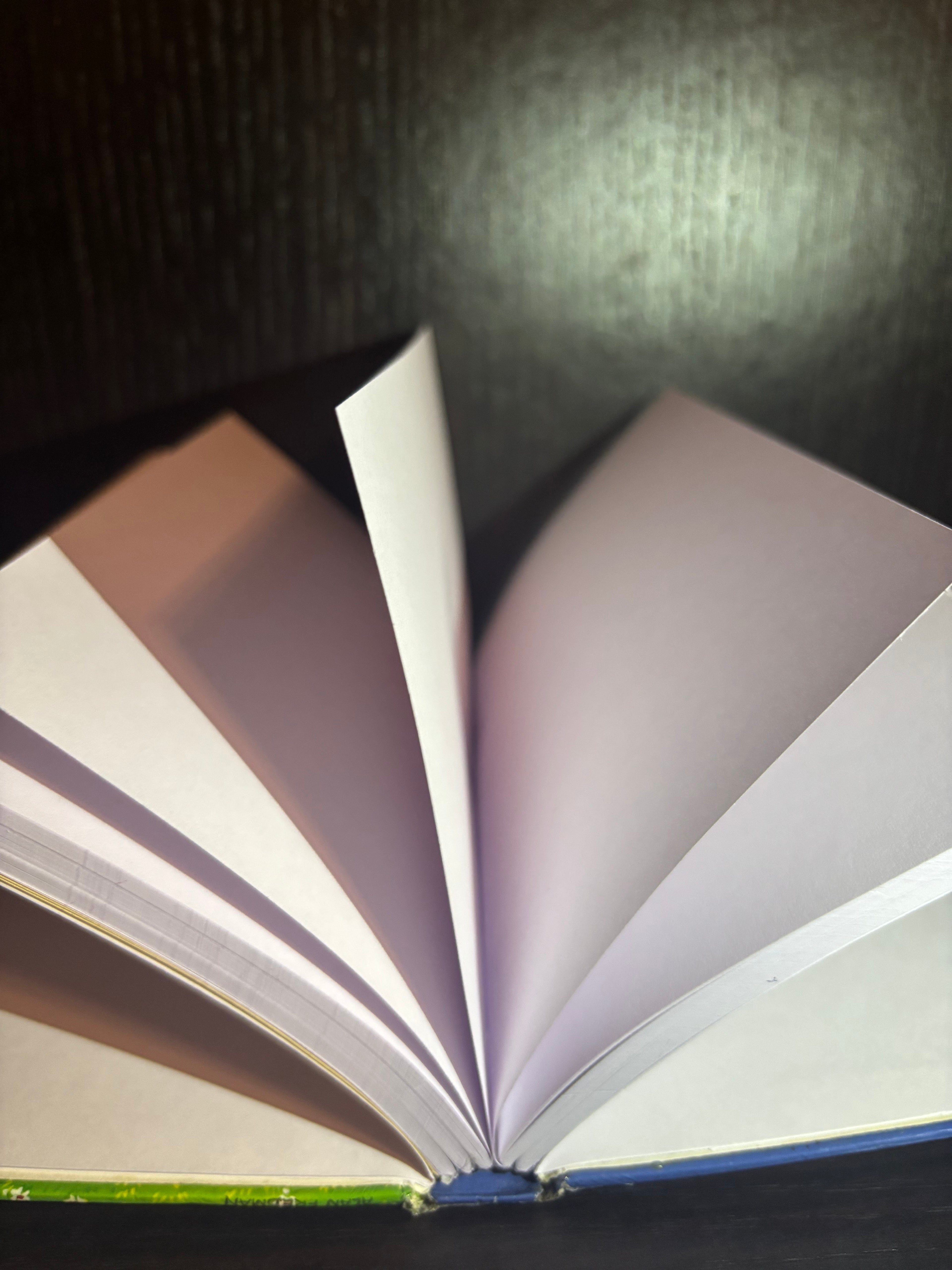 Look Out For The Elephant (1996) Plain Notebook