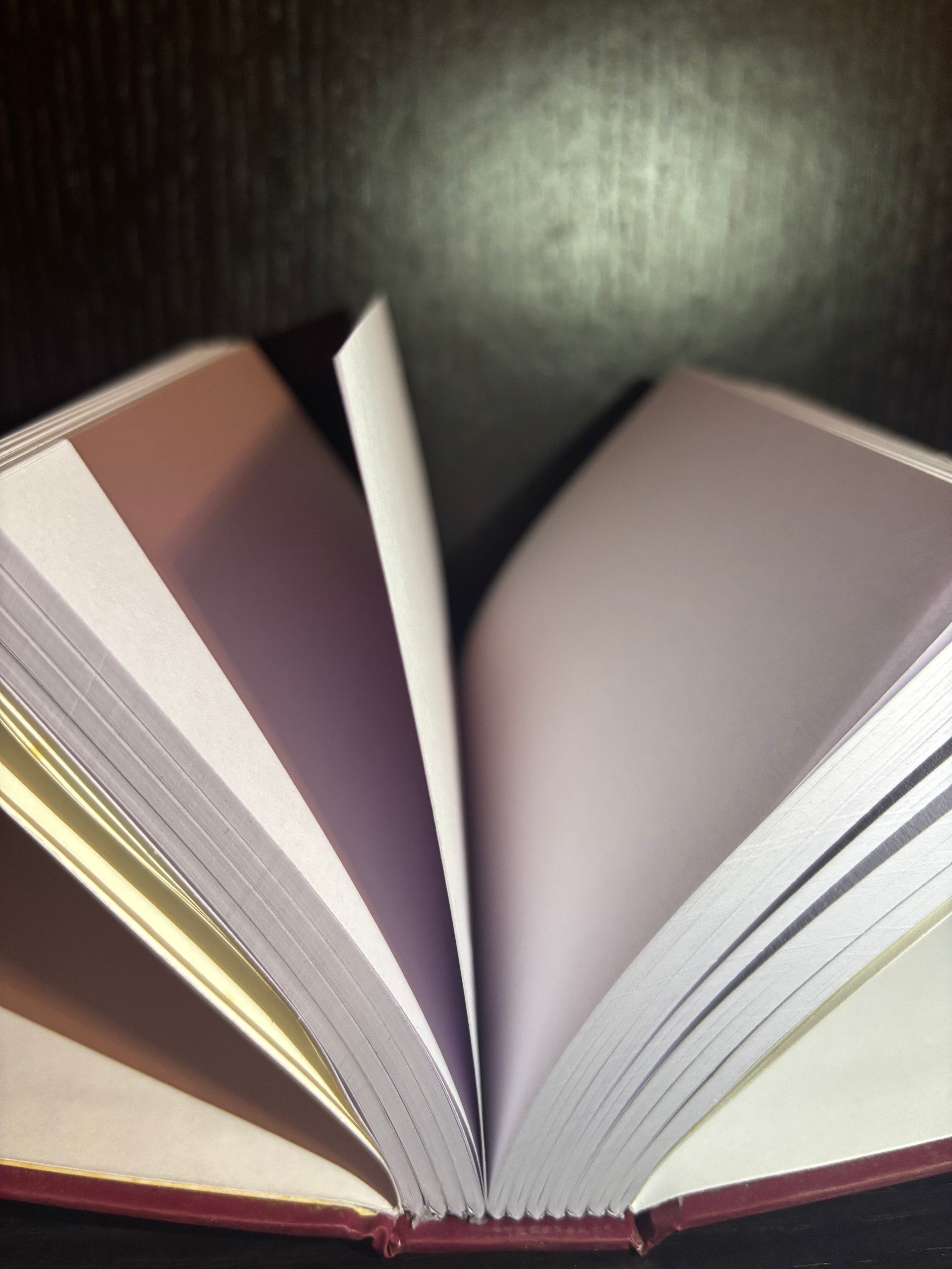 Pocket Medical Dictionary (2004) Plain Notebook