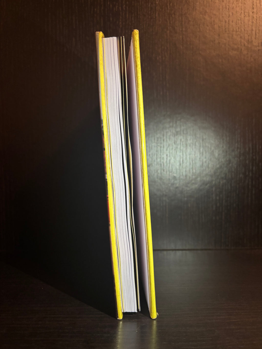 Perfick! (1991) Plain Notebook