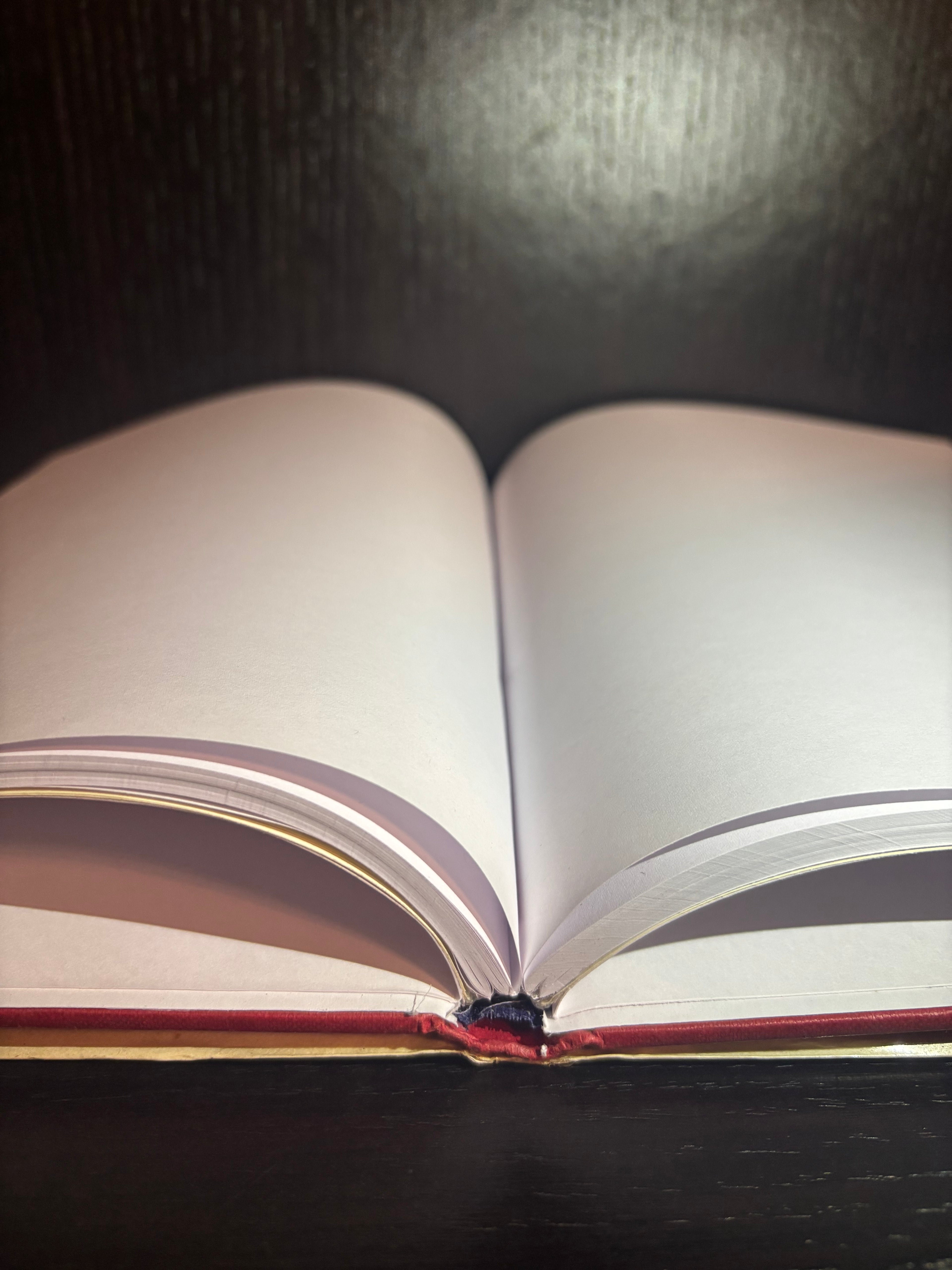 Perfick! (1991) Plain Notebook