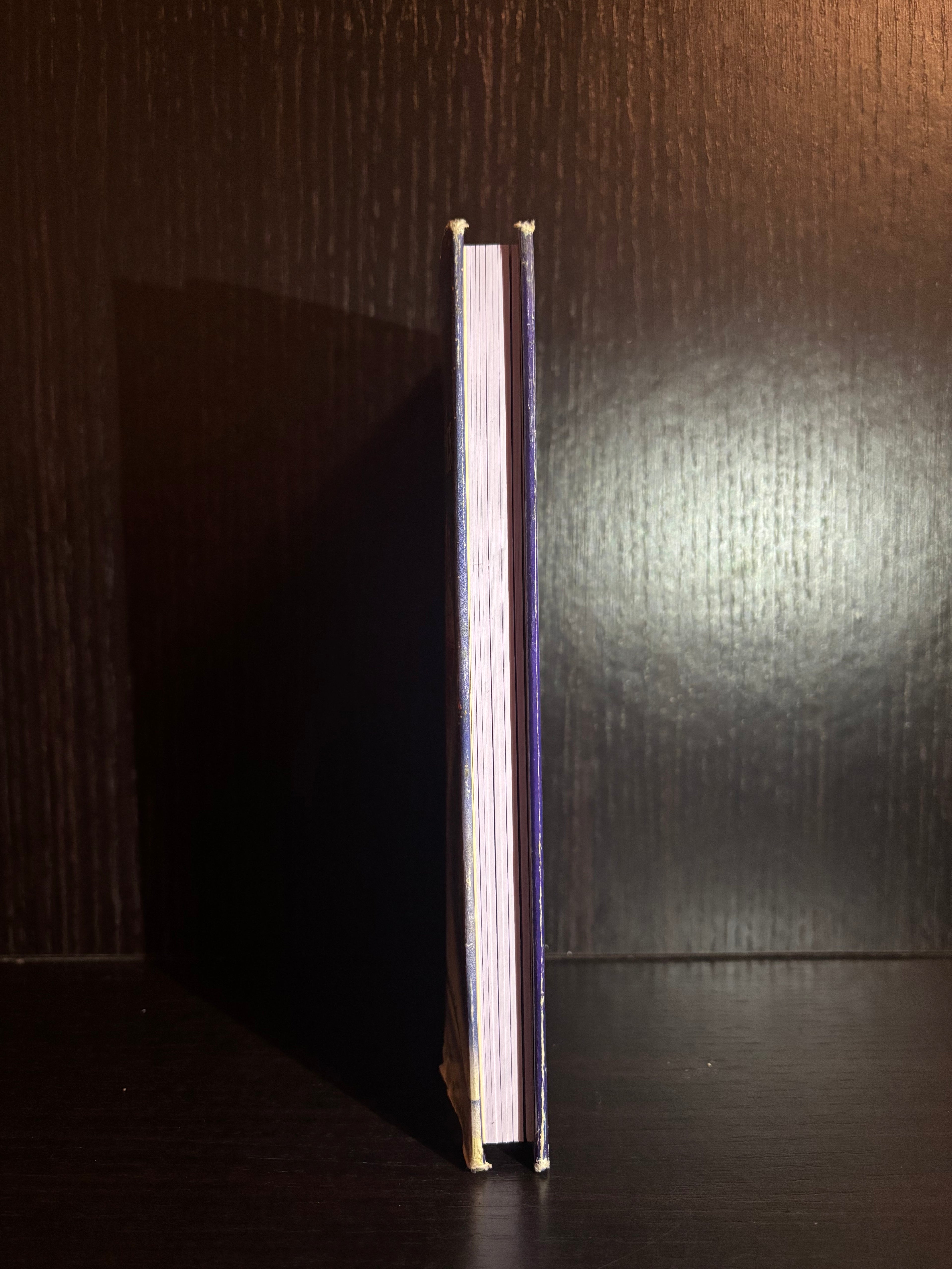 Bedknobs and Broomsticks (2004) Plain Notebook