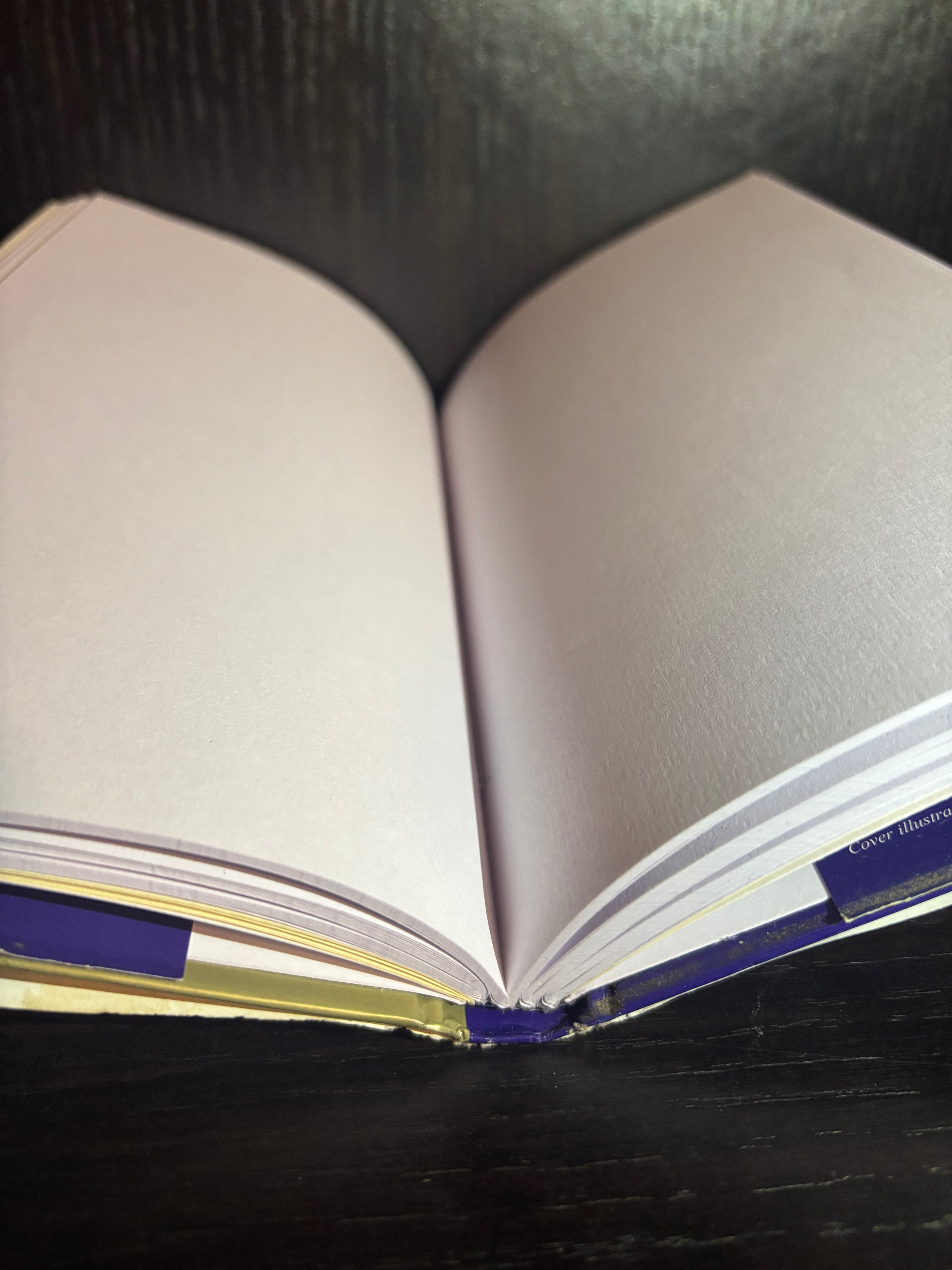 Bedknobs and Broomsticks (2004) Plain Notebook