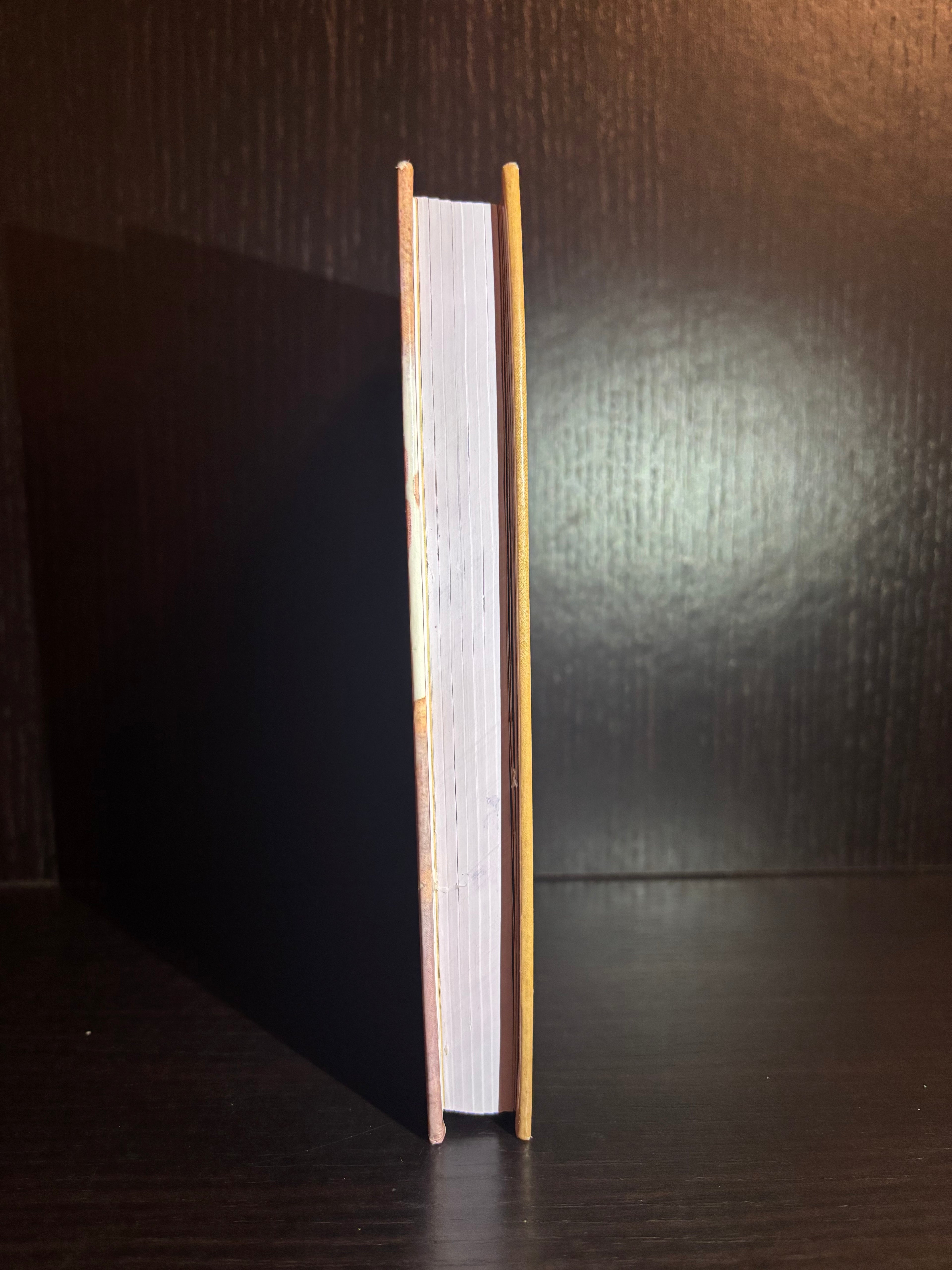 Daddy Long-legs (2015) Plain Notebook