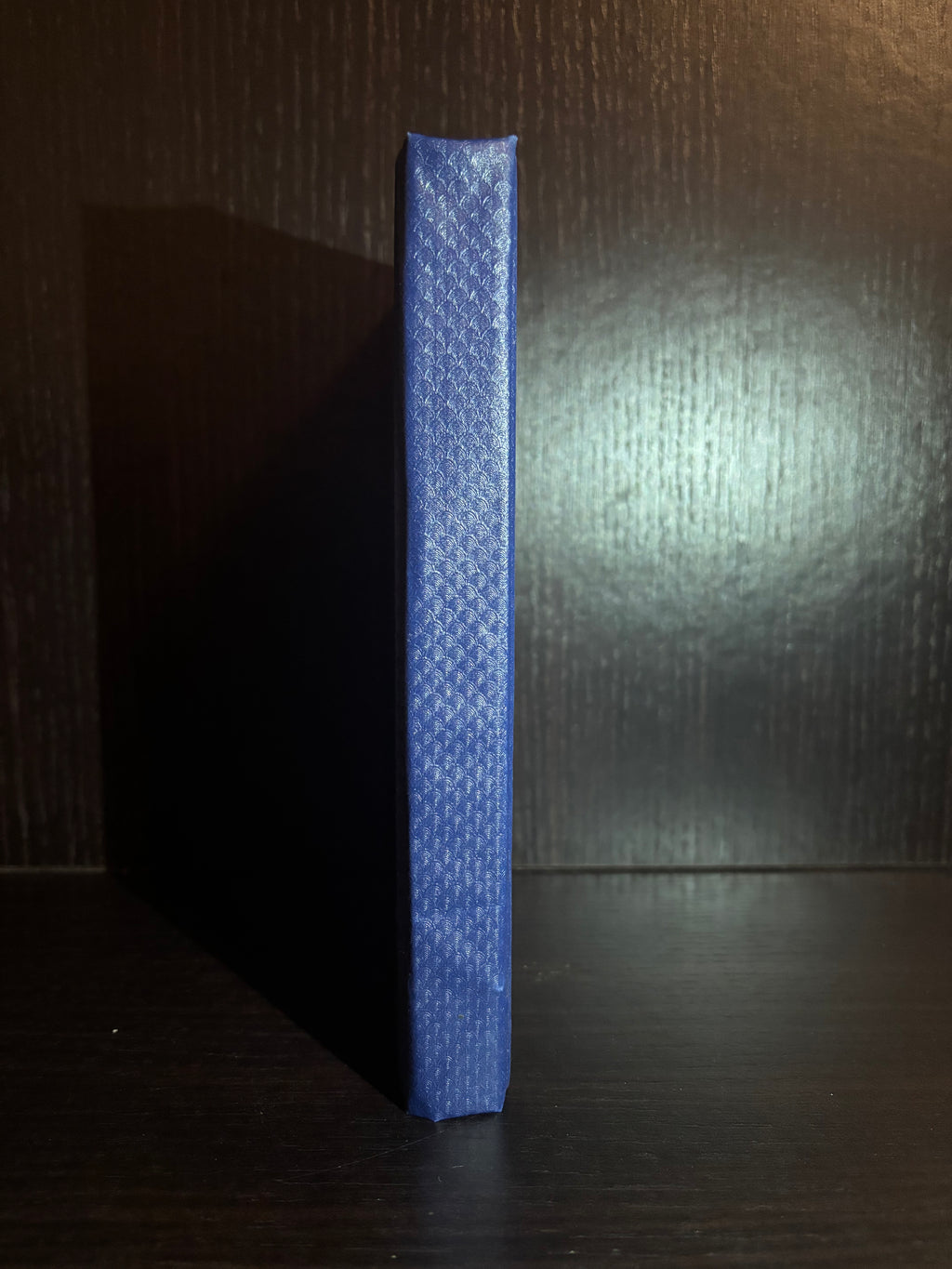 Daddy Long-legs (2015) Plain Notebook
