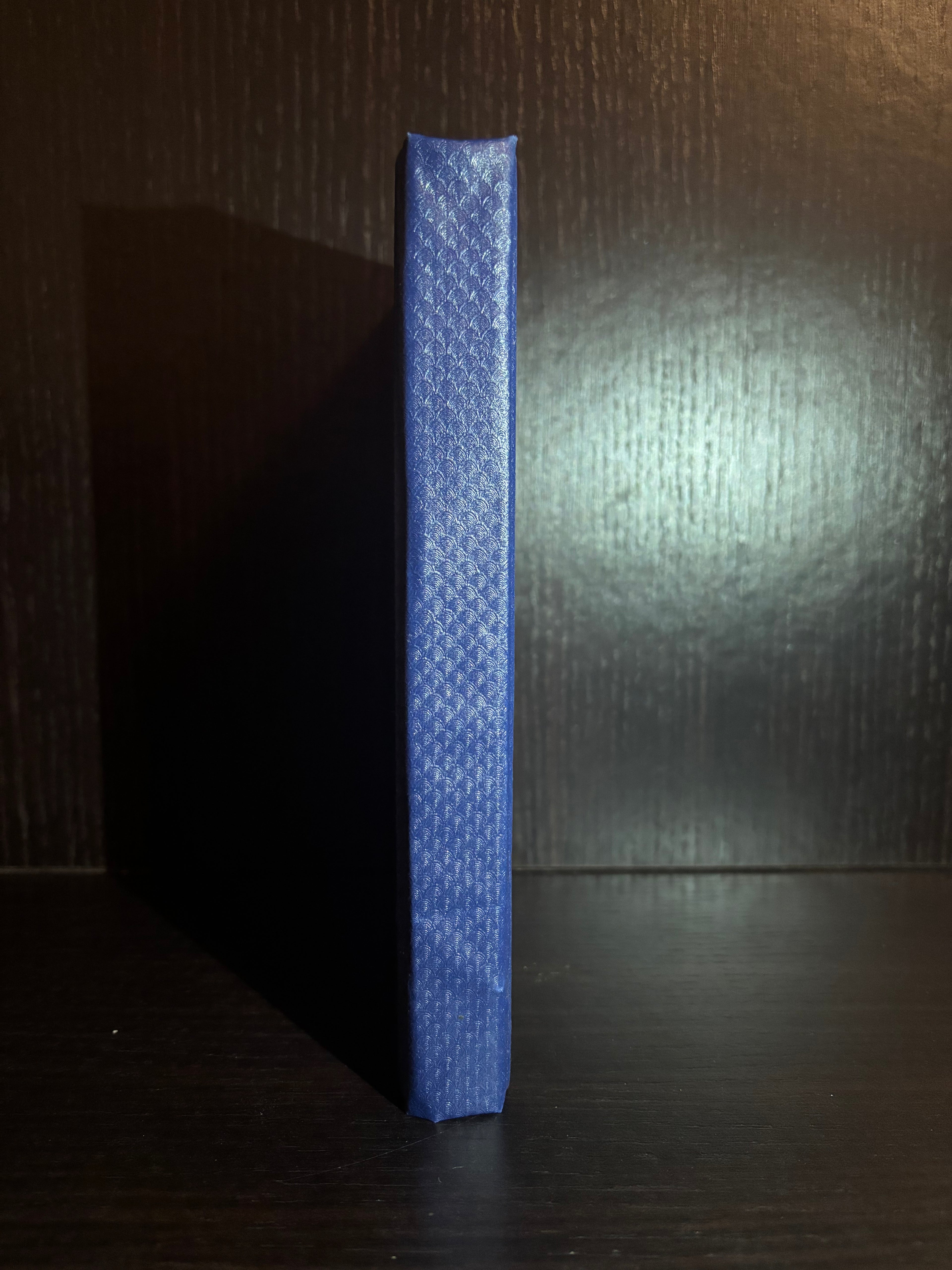 Daddy Long-legs (2015) Plain Notebook