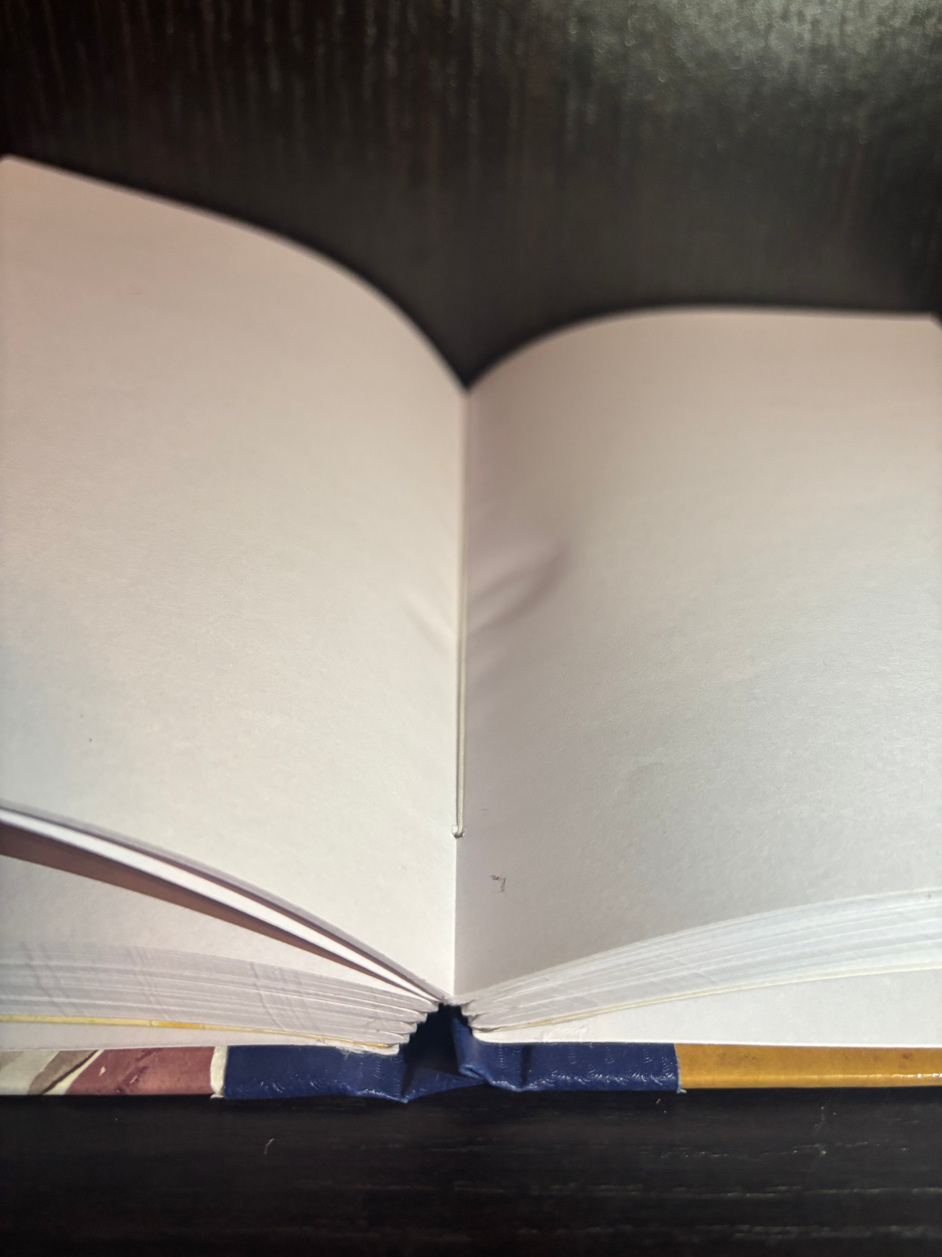 Daddy Long-legs (2015) Plain Notebook