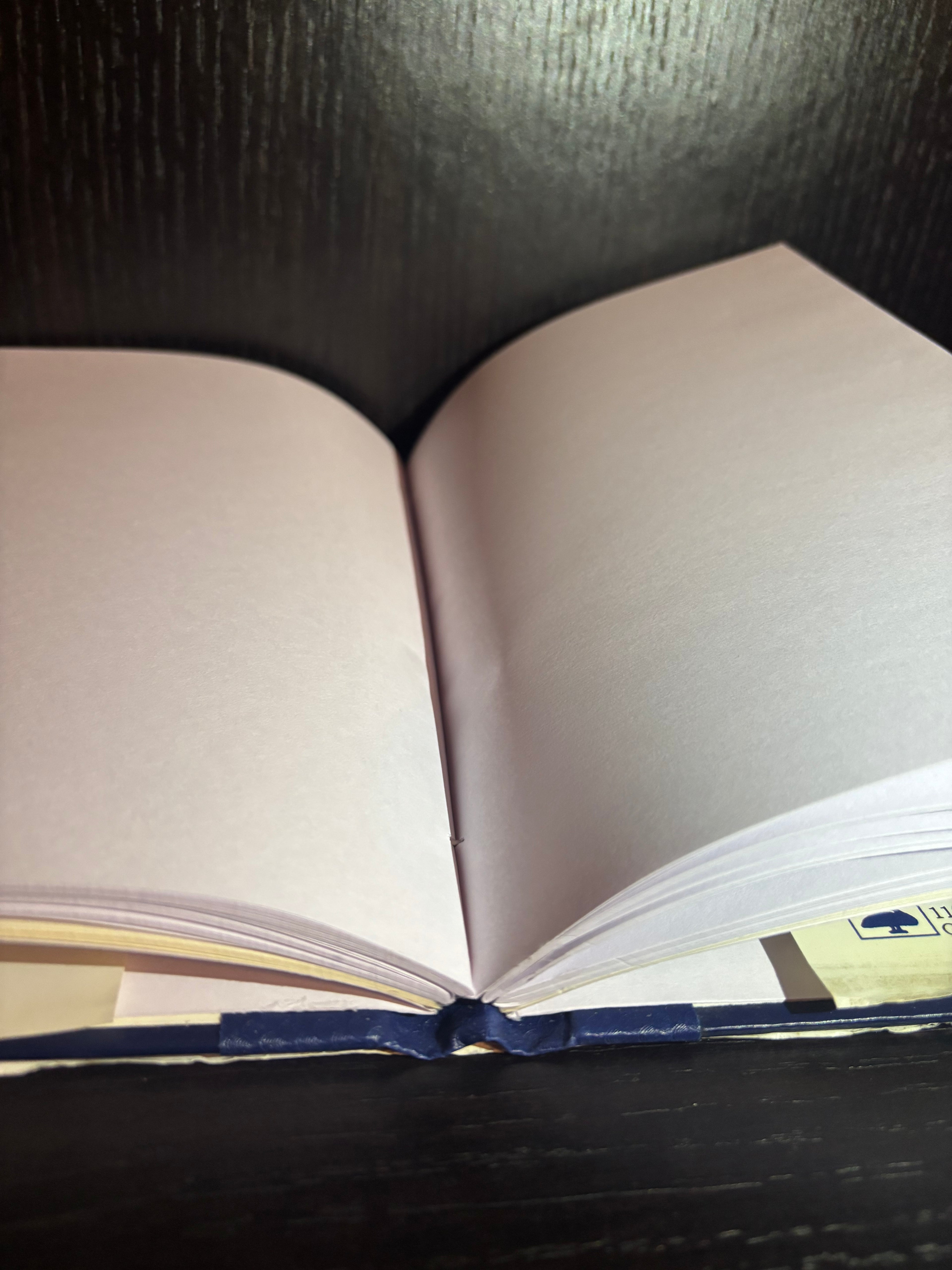 Creativity for Leaders (1995) Plain Notebook