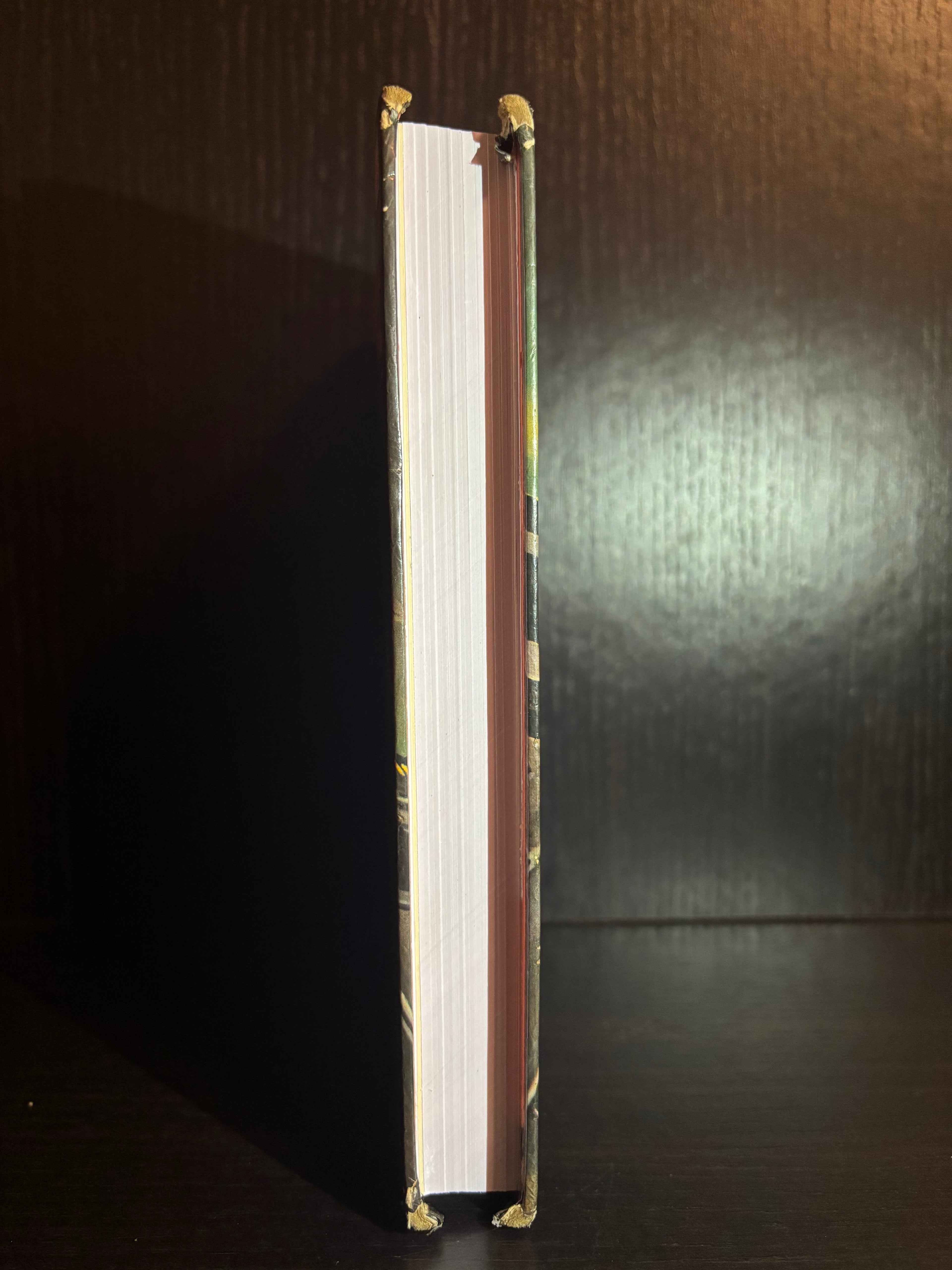 More Adventure Stories (2015) Plain Notebook