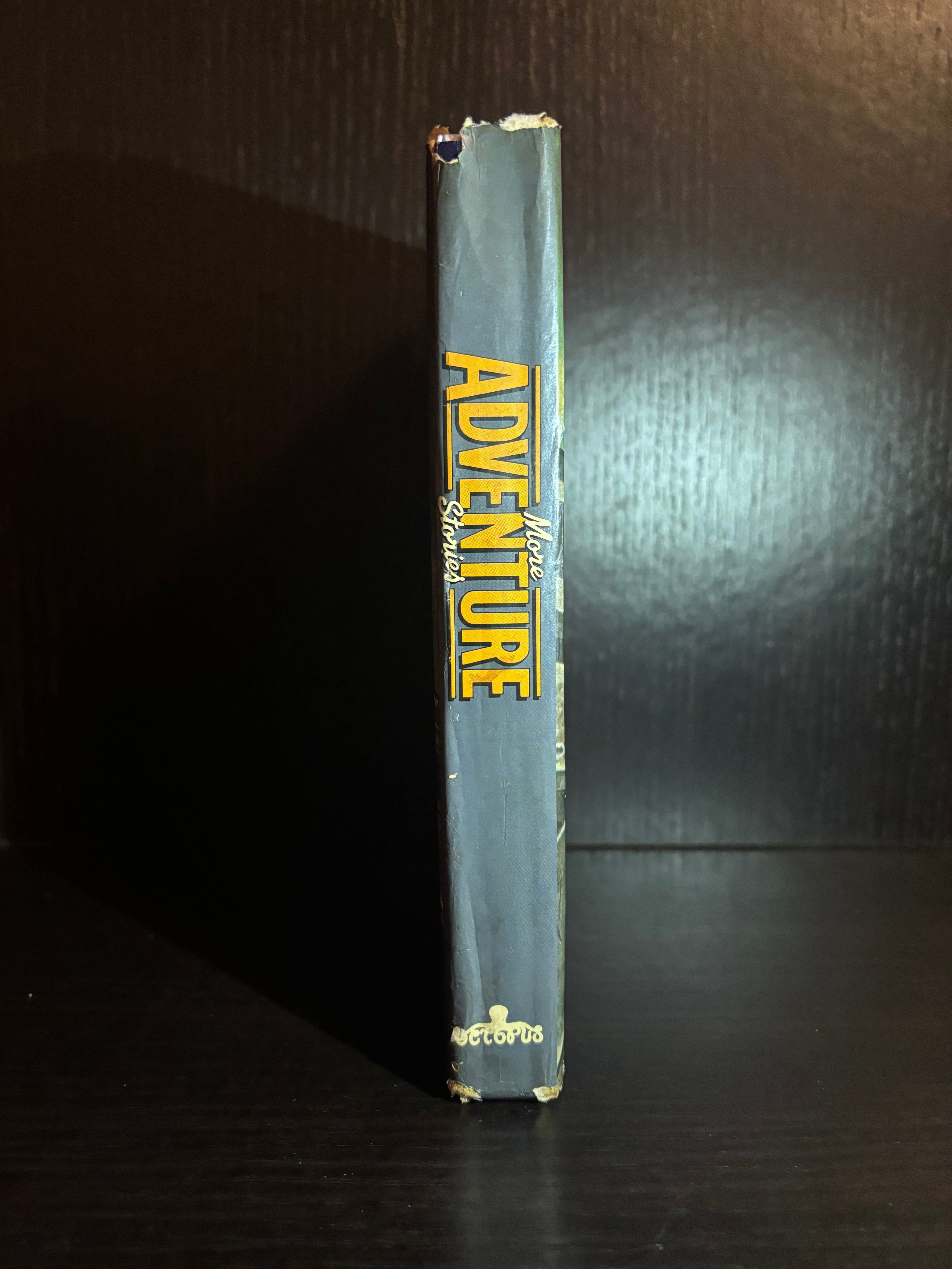 More Adventure Stories (2015) Plain Notebook