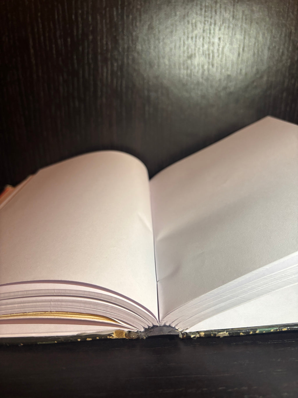 More Adventure Stories (2015) Plain Notebook
