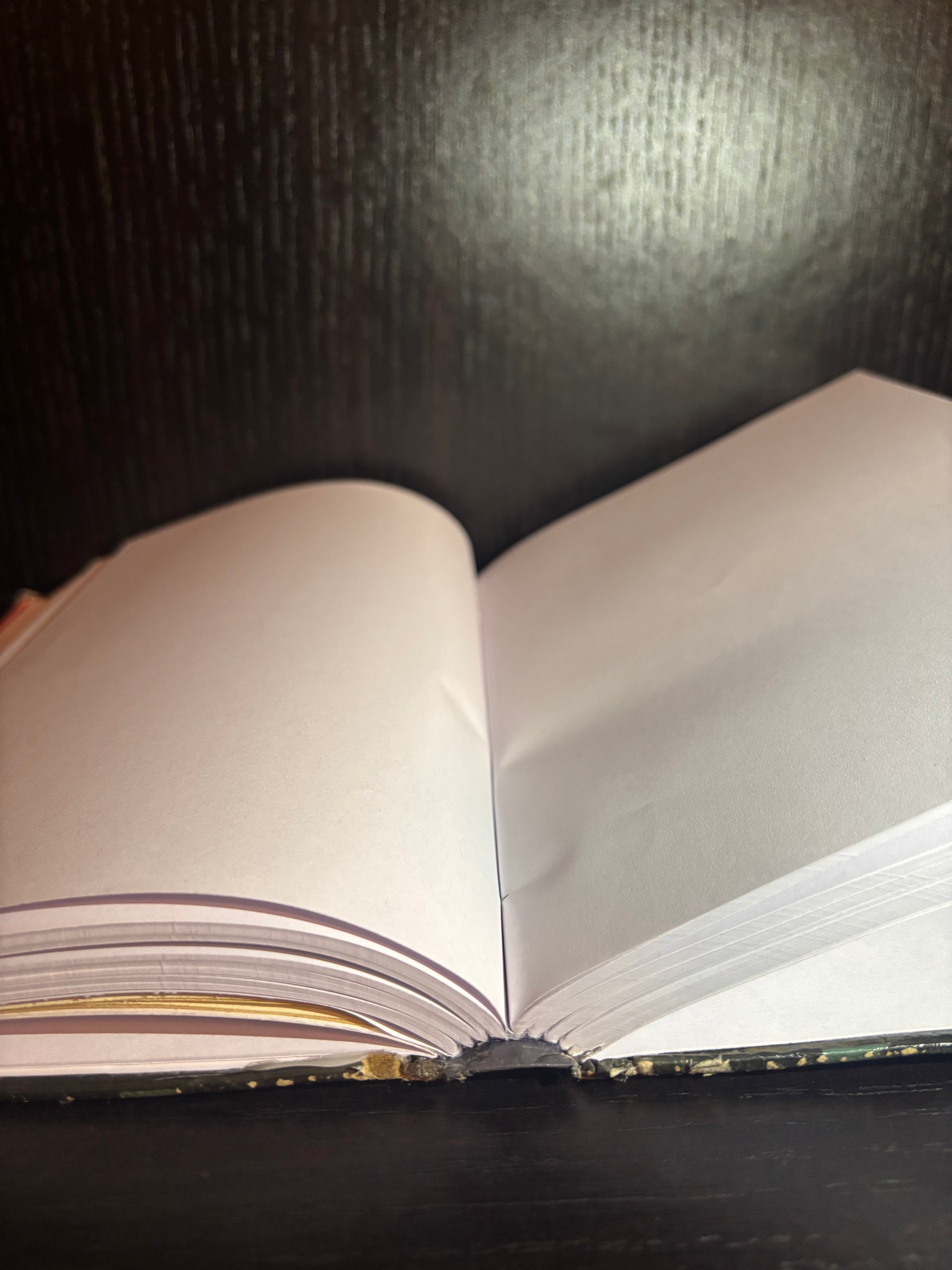 More Adventure Stories (2015) Plain Notebook