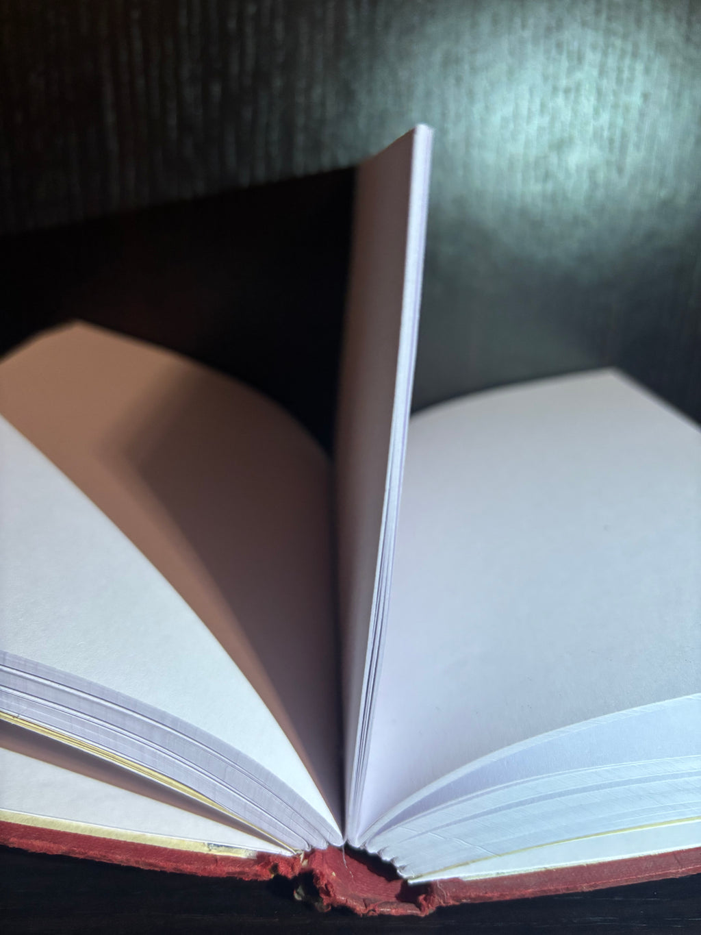 An Introduction to the Study of Literature (1965) Plain Notebook