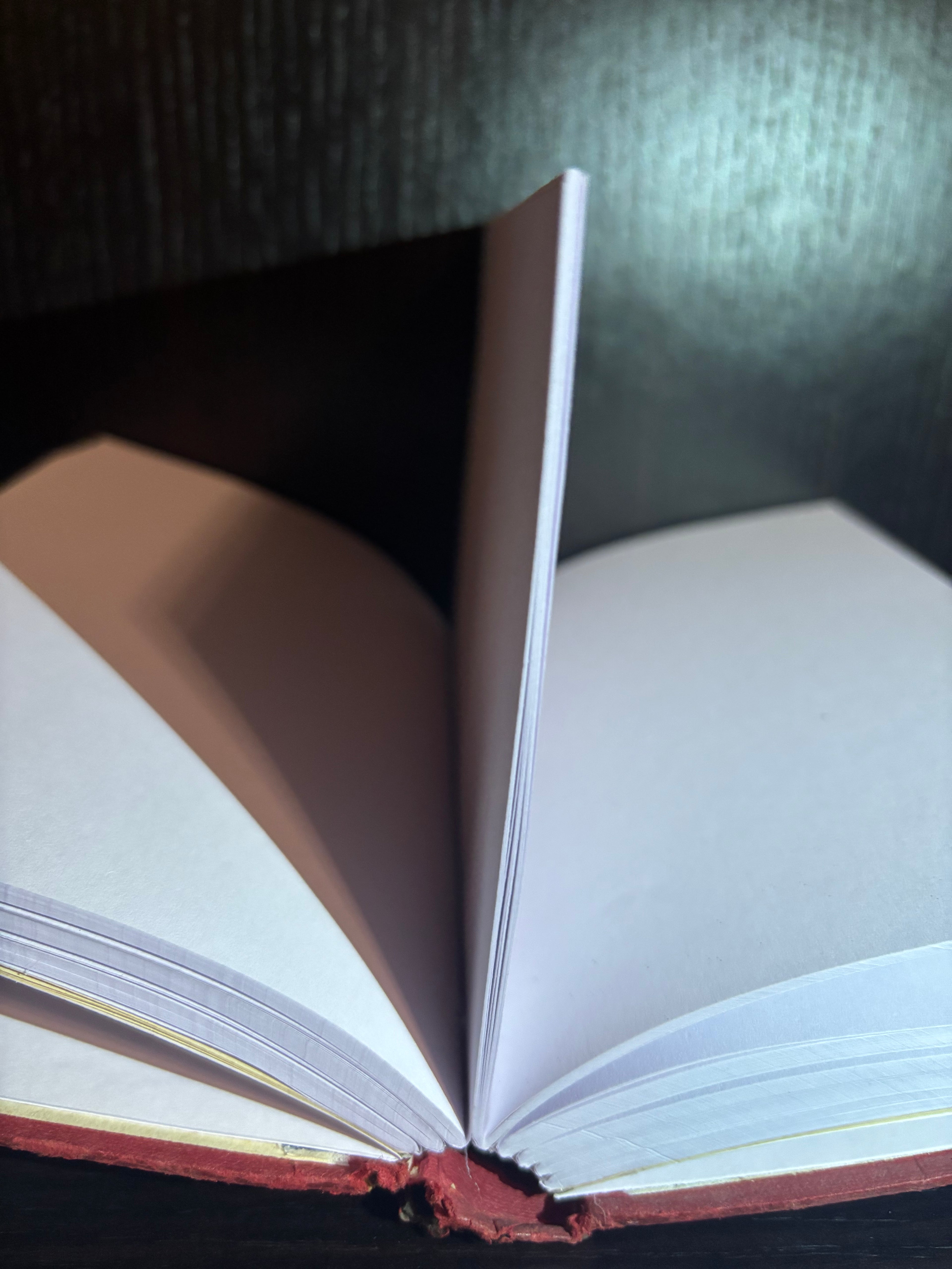 An Introduction to the Study of Literature (1965) Plain Notebook