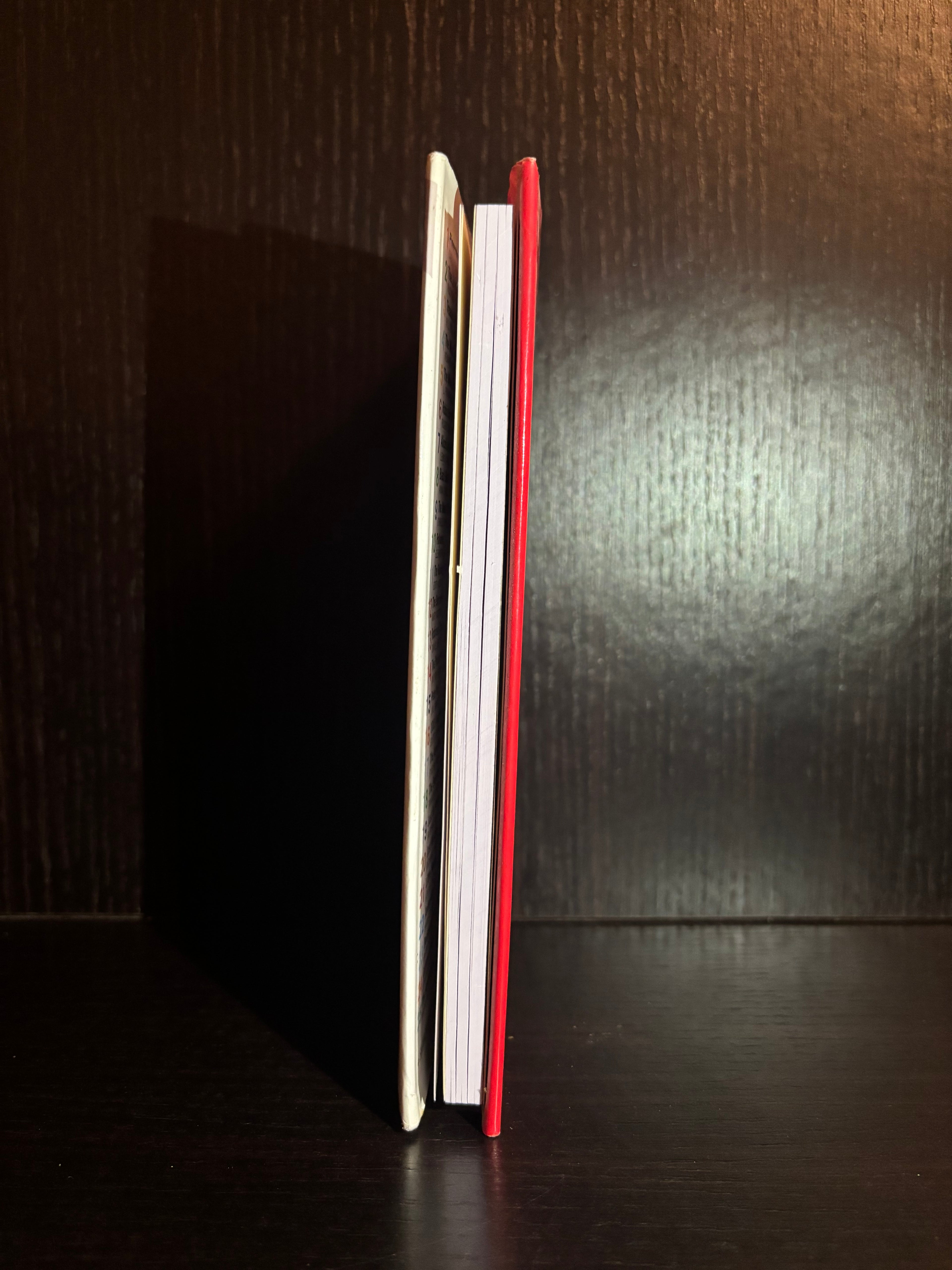 Pinocchio (2000) Plain Notebook