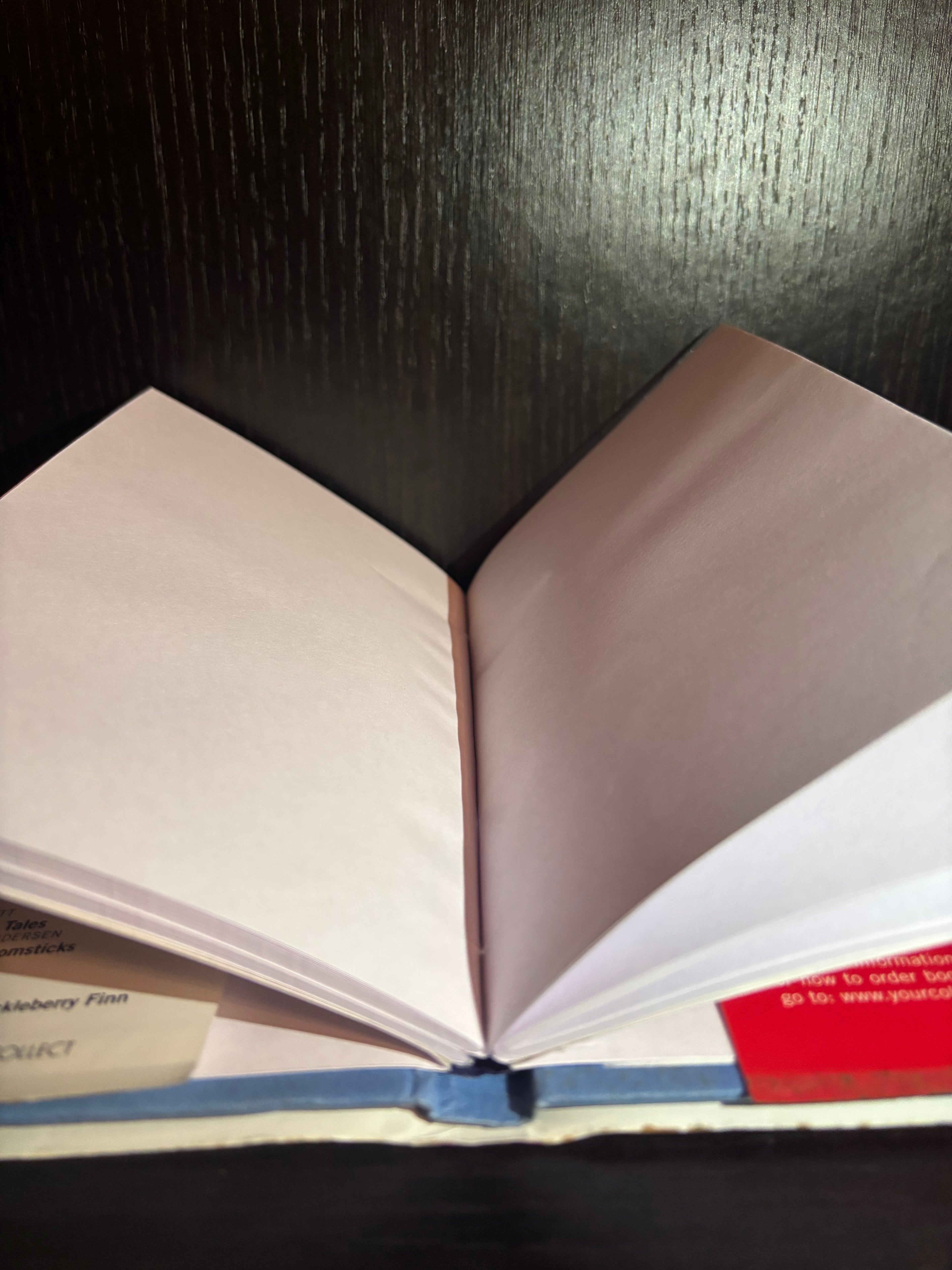 Pinocchio (2000) Plain Notebook