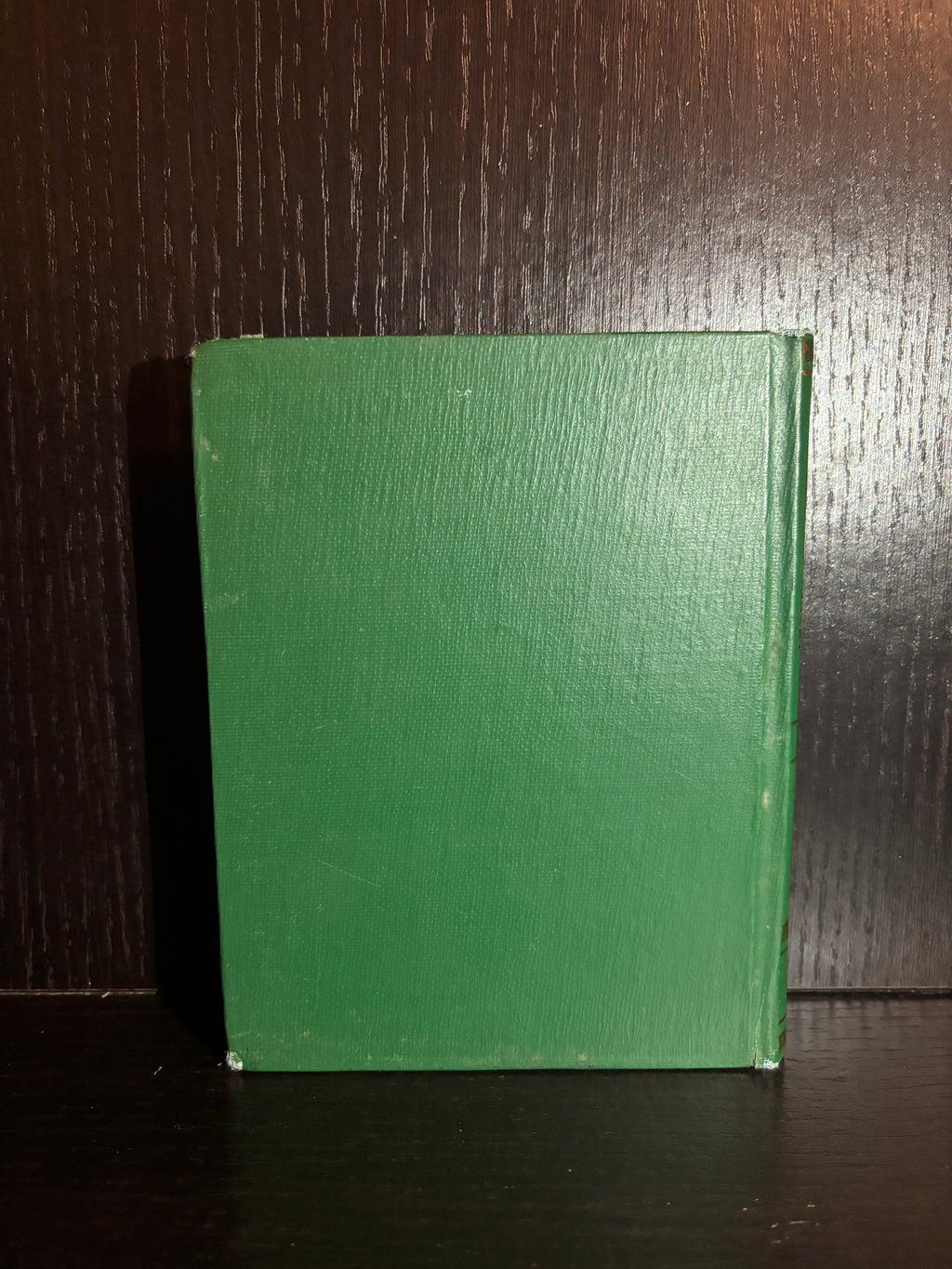 English-Konkani Pocket Dictionary (2001) Plain Notebook