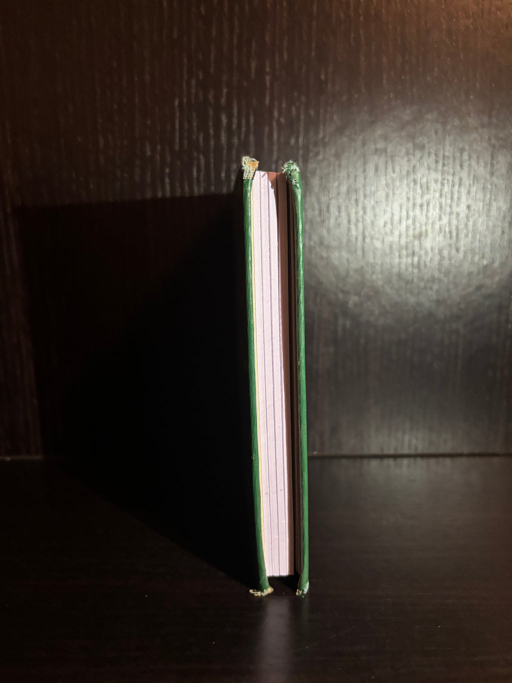 English-Konkani Pocket Dictionary (2001) Plain Notebook