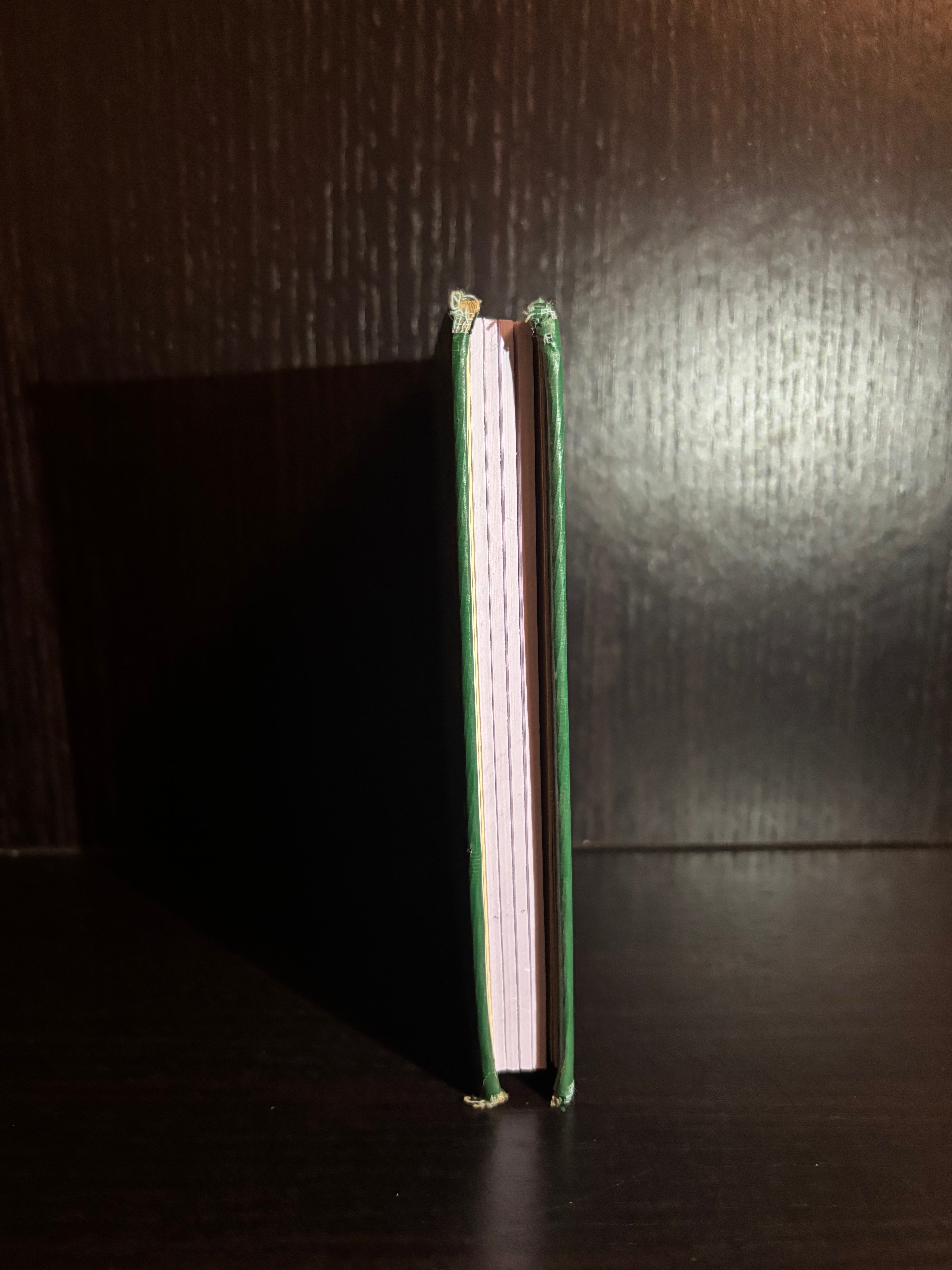 English-Konkani Pocket Dictionary (2001) Plain Notebook