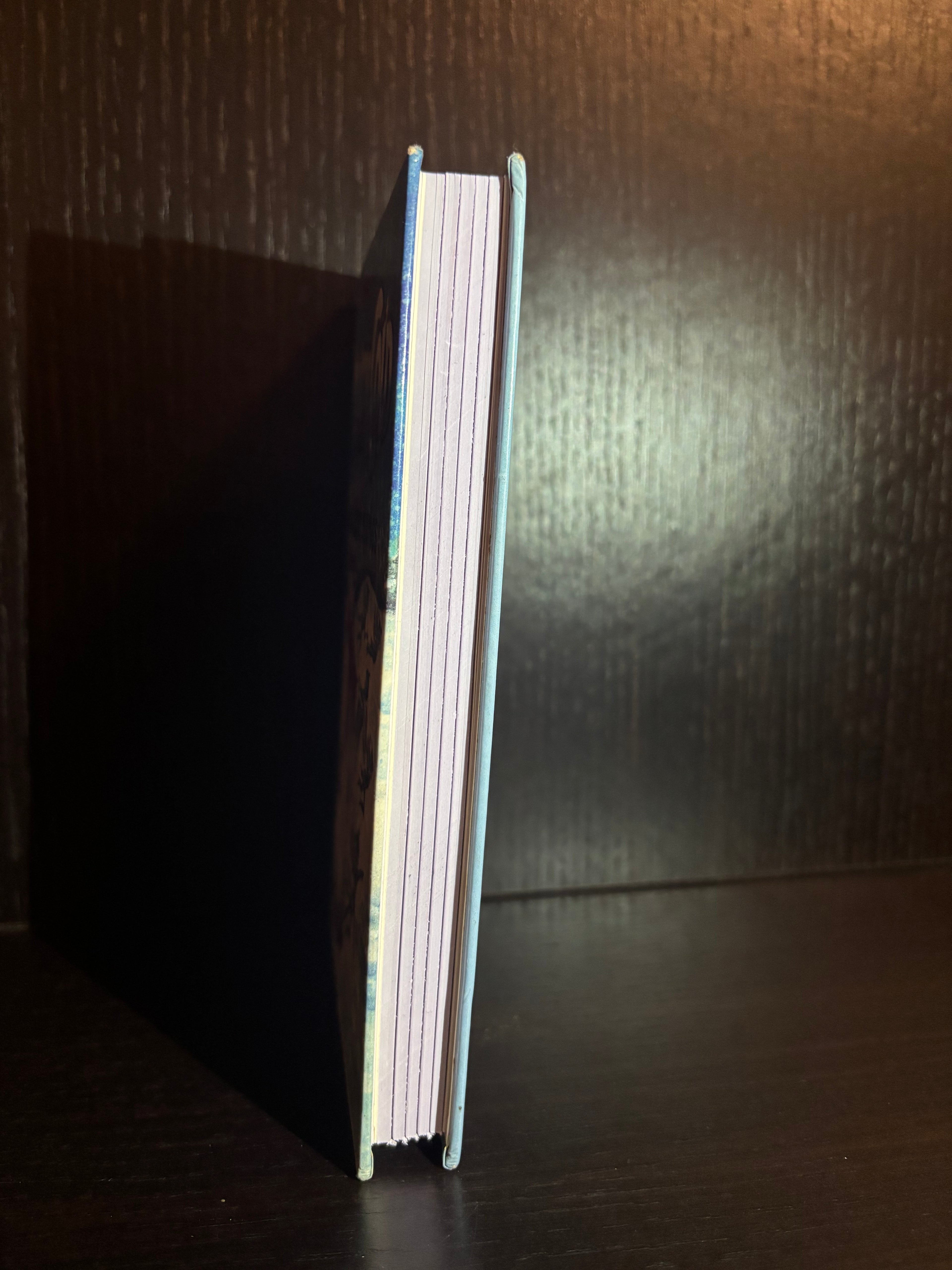 Mr. Icy Cold (1994) Plain Notebook