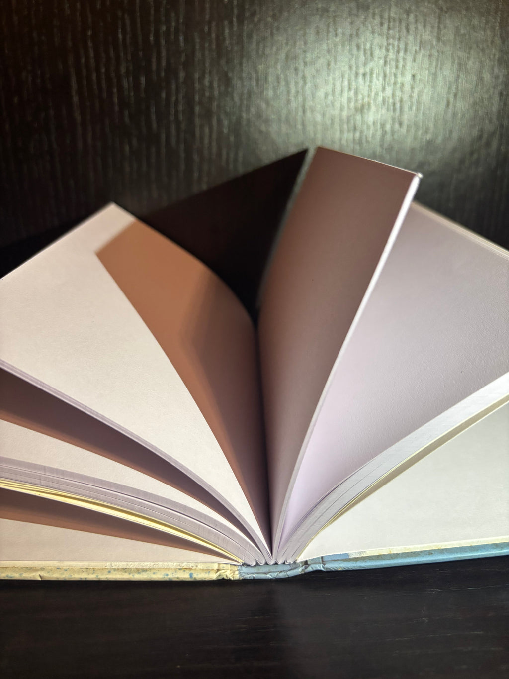 Mr. Icy Cold (1994) Plain Notebook
