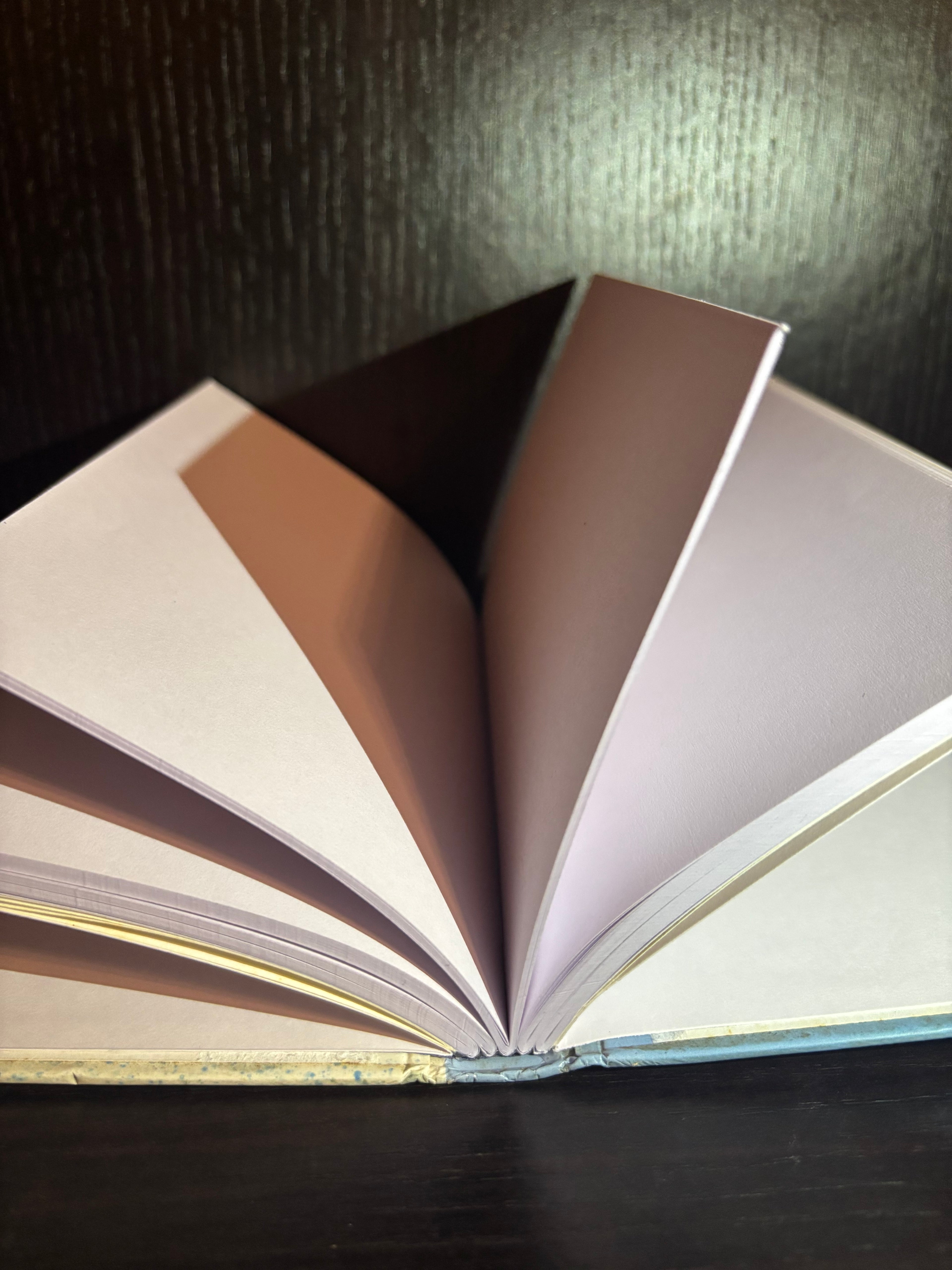 Mr. Icy Cold (1994) Plain Notebook