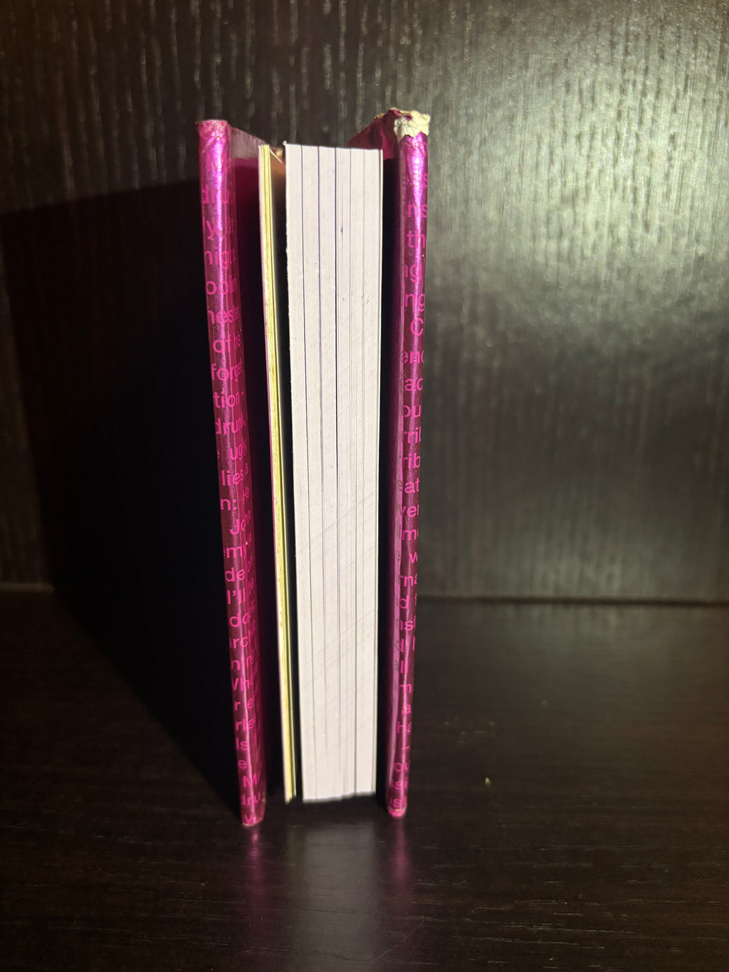The Little Book of Insults (2005) Plain Notebook