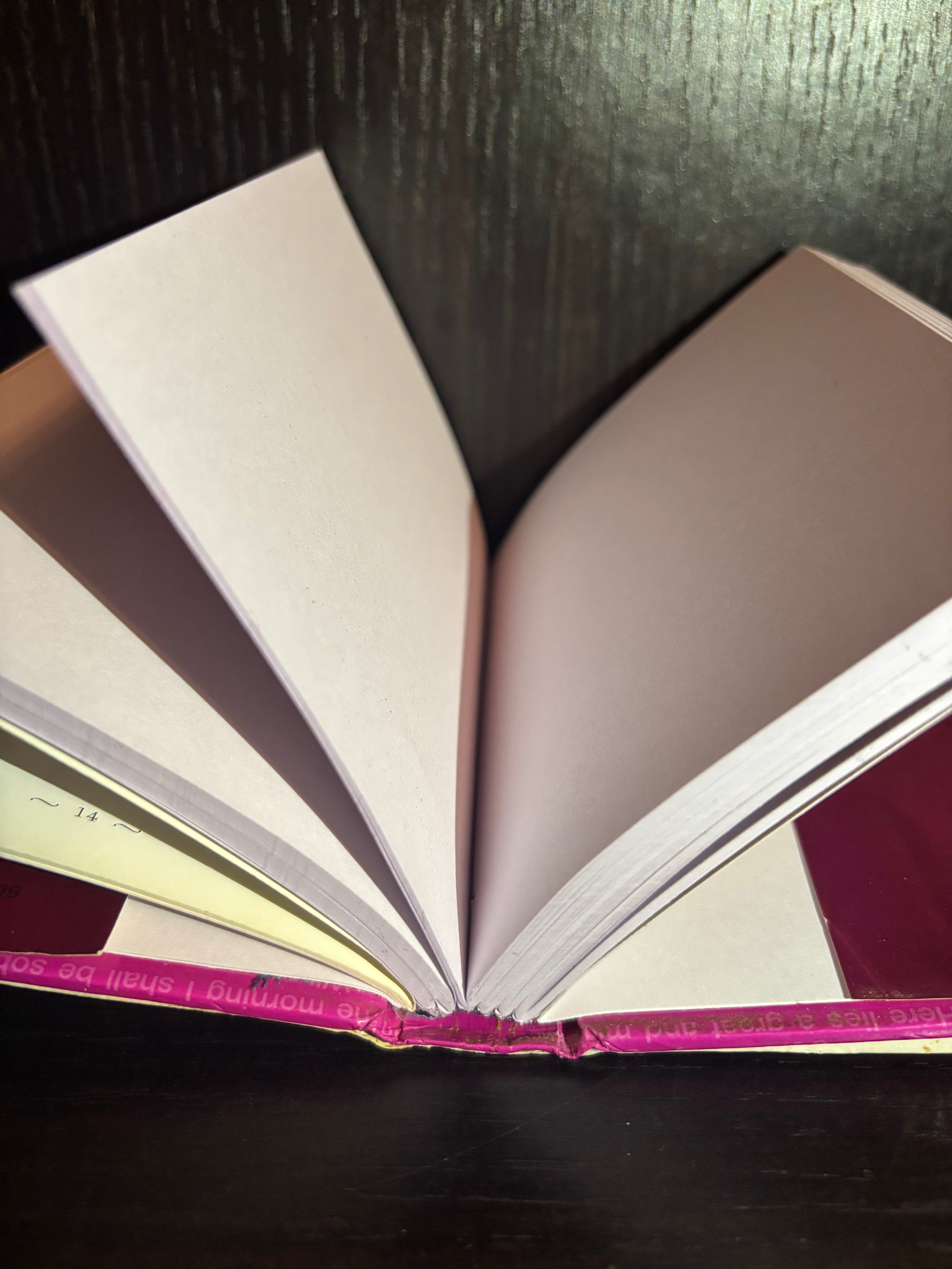 The Little Book of Insults (2005) Plain Notebook