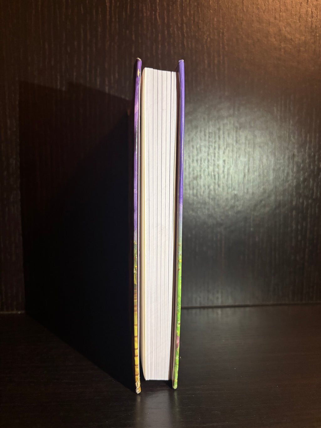 The Wizard of Oz (2017) Plain Notebook