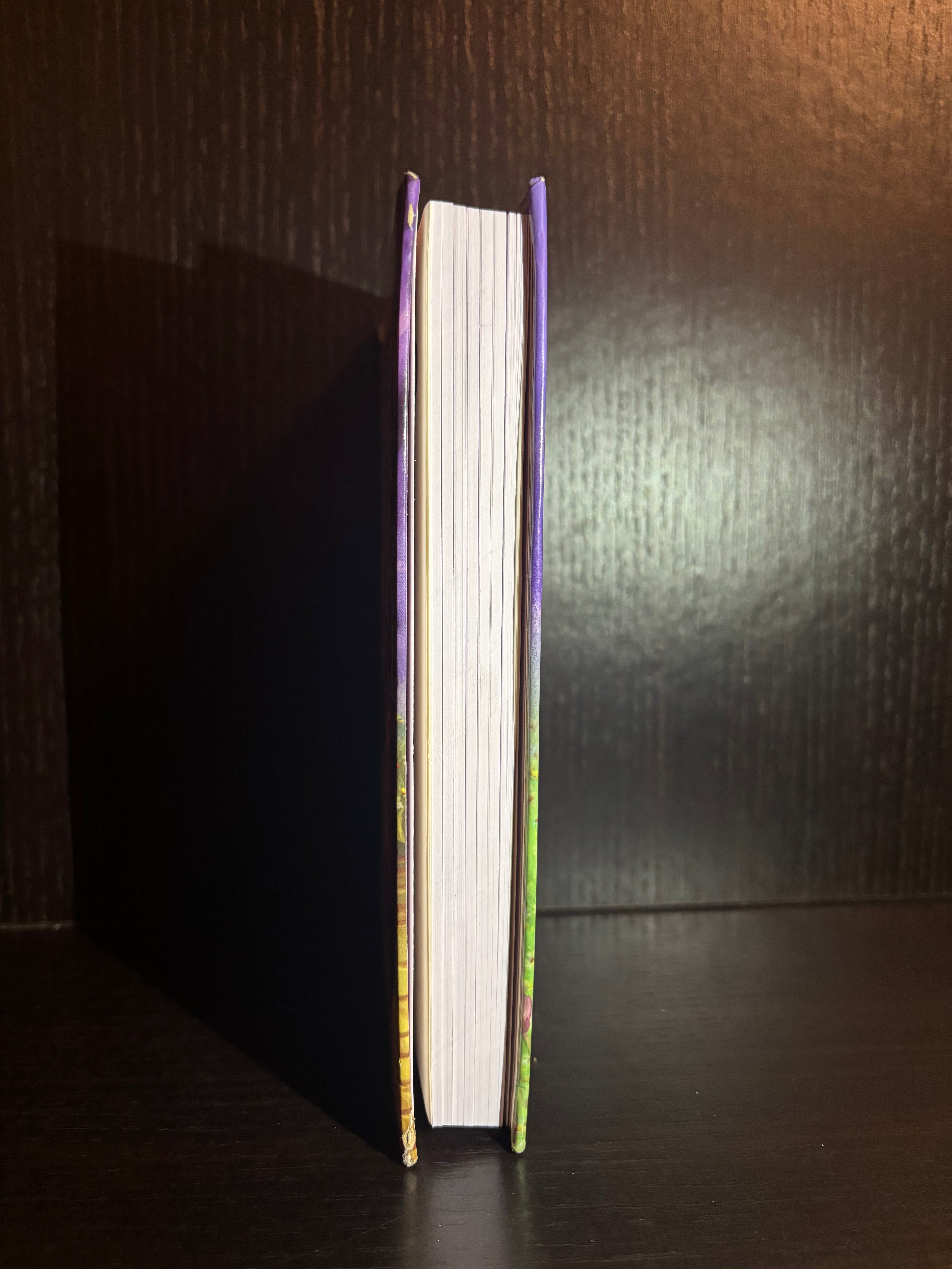 The Wizard of Oz (2017) Plain Notebook