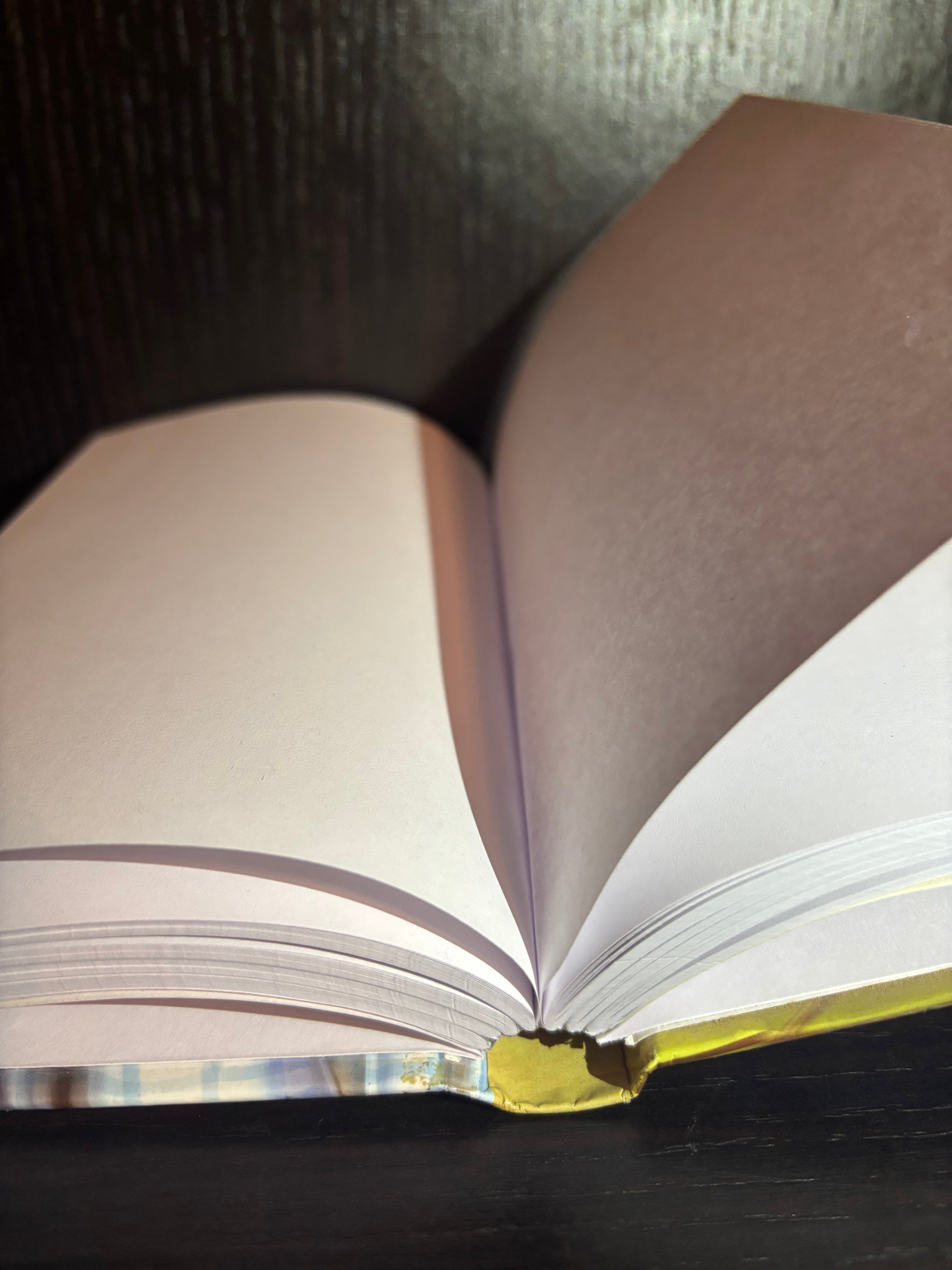 The Wizard of Oz (2017) Plain Notebook