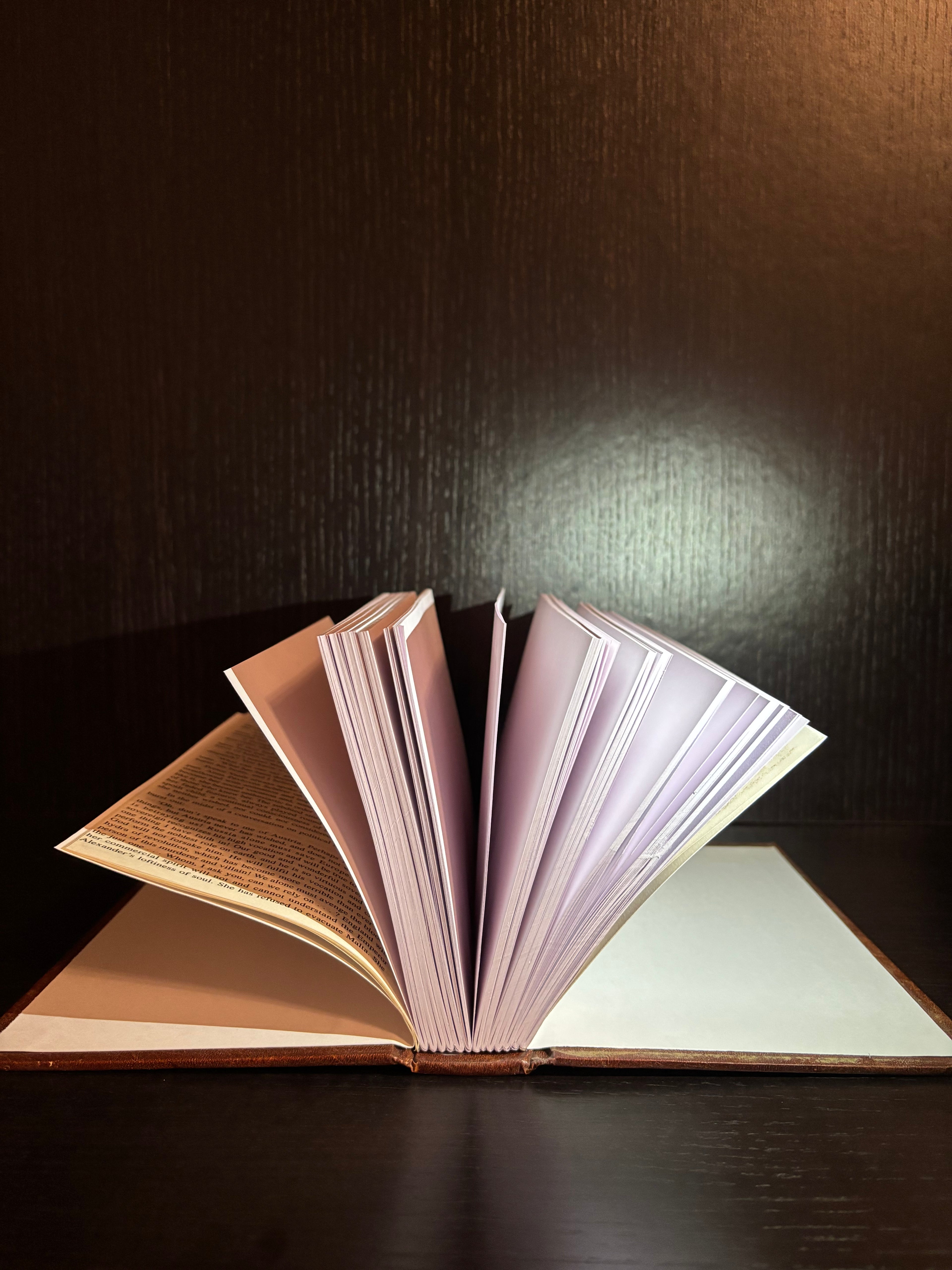 War and Peace Tolstoy (2006) Plain Notebook