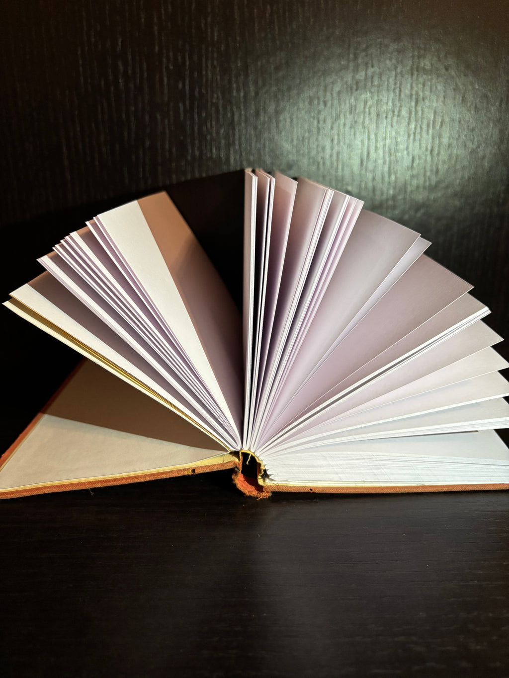 Give Yourself A Chance (1940s) Plain Notebook