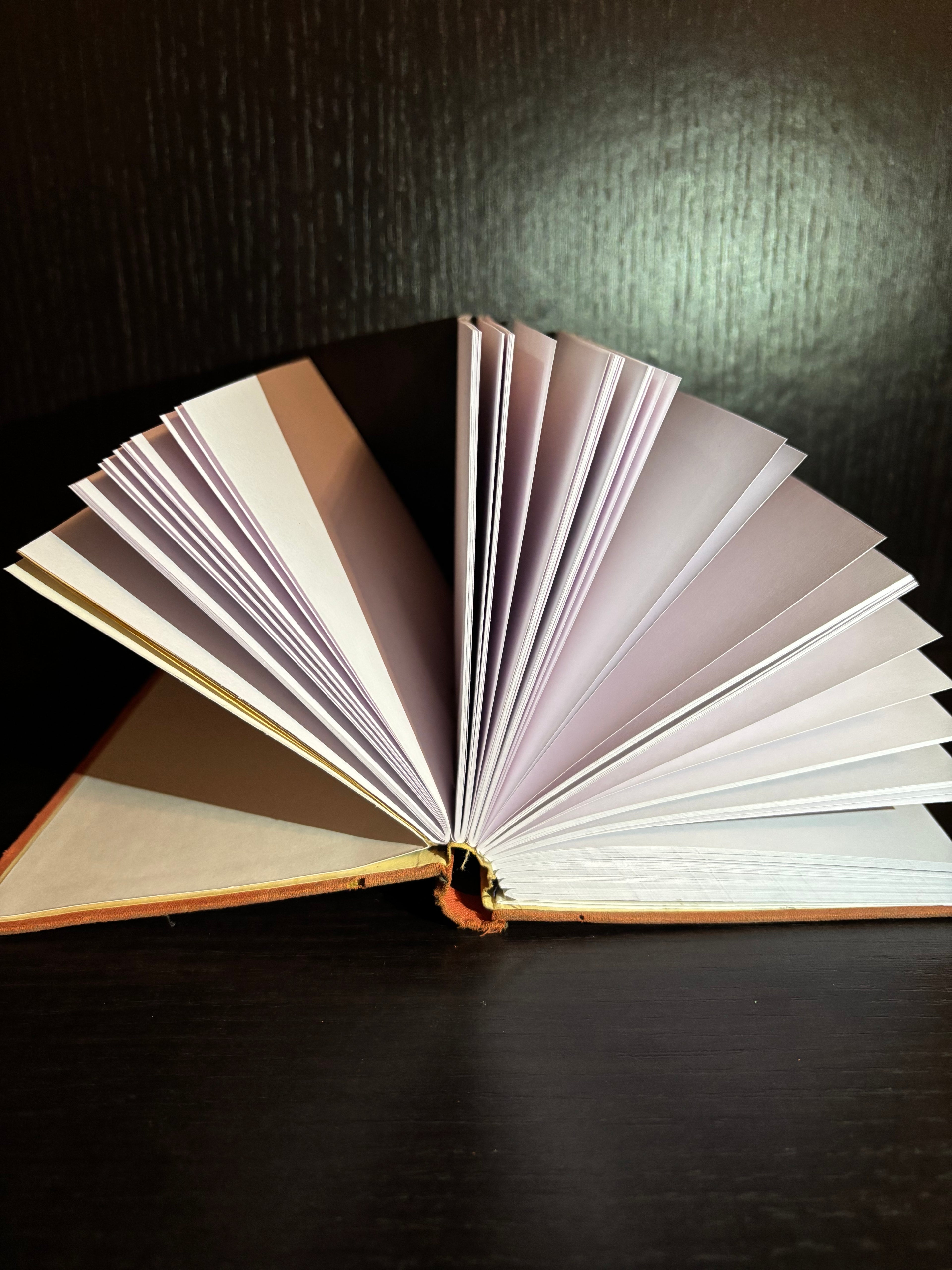 Give Yourself A Chance (1940s) Plain Notebook