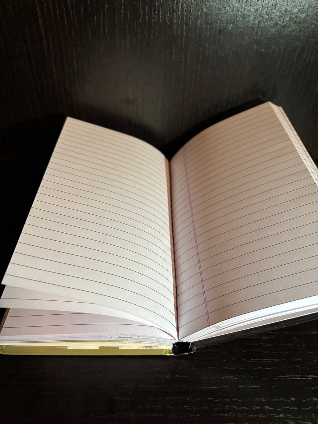 The Lost World (2004) Ruled Notebook