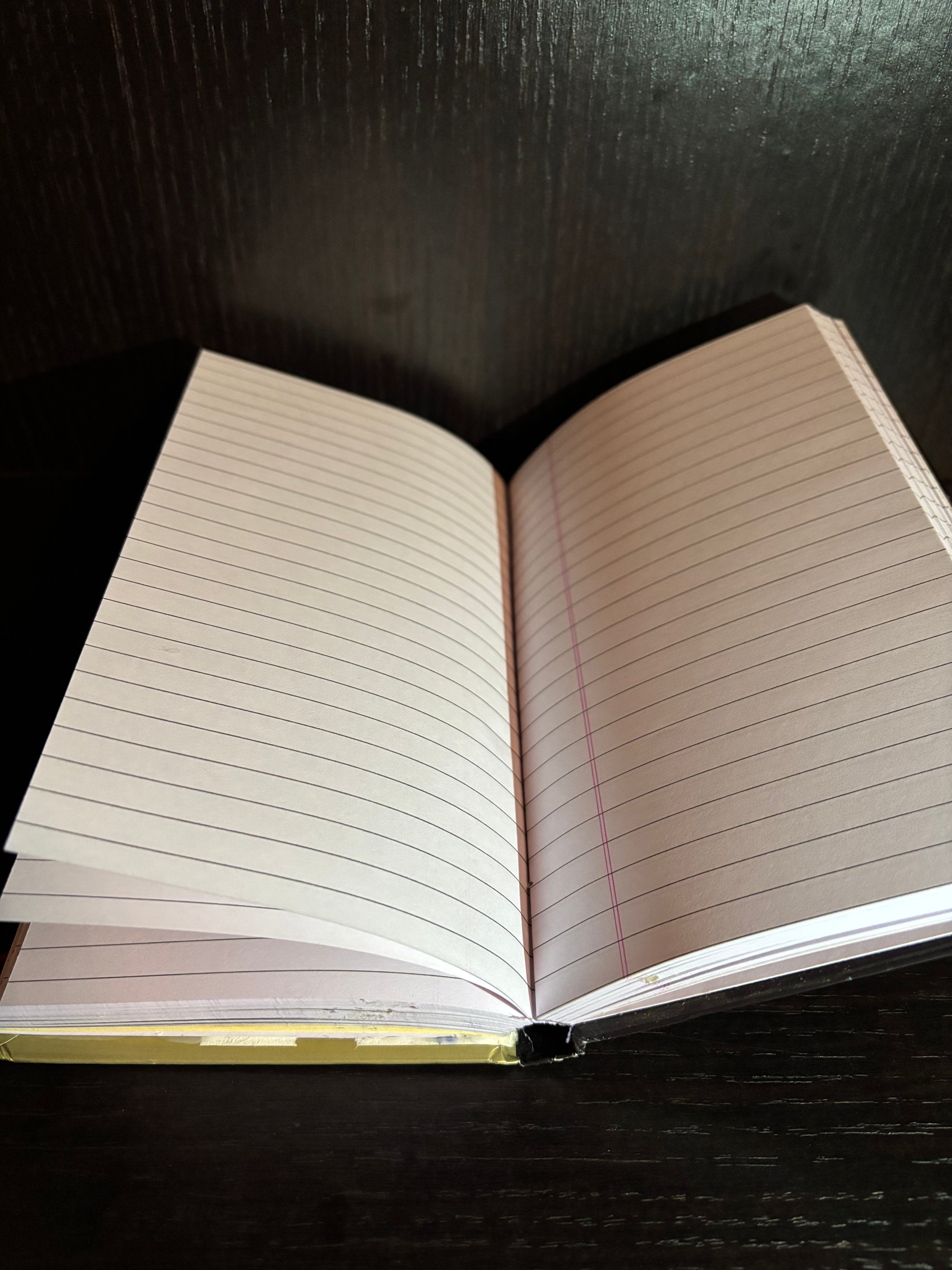 The Lost World (2004) Ruled Notebook