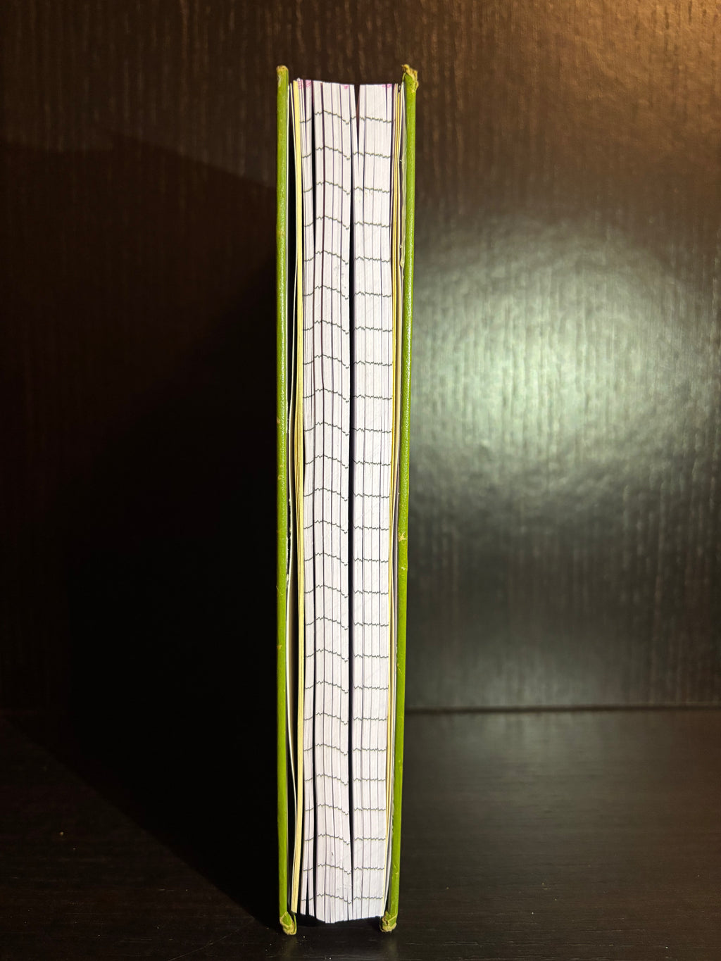 The Adventures of Tom Sawyer (1960s) Ruled Notebook