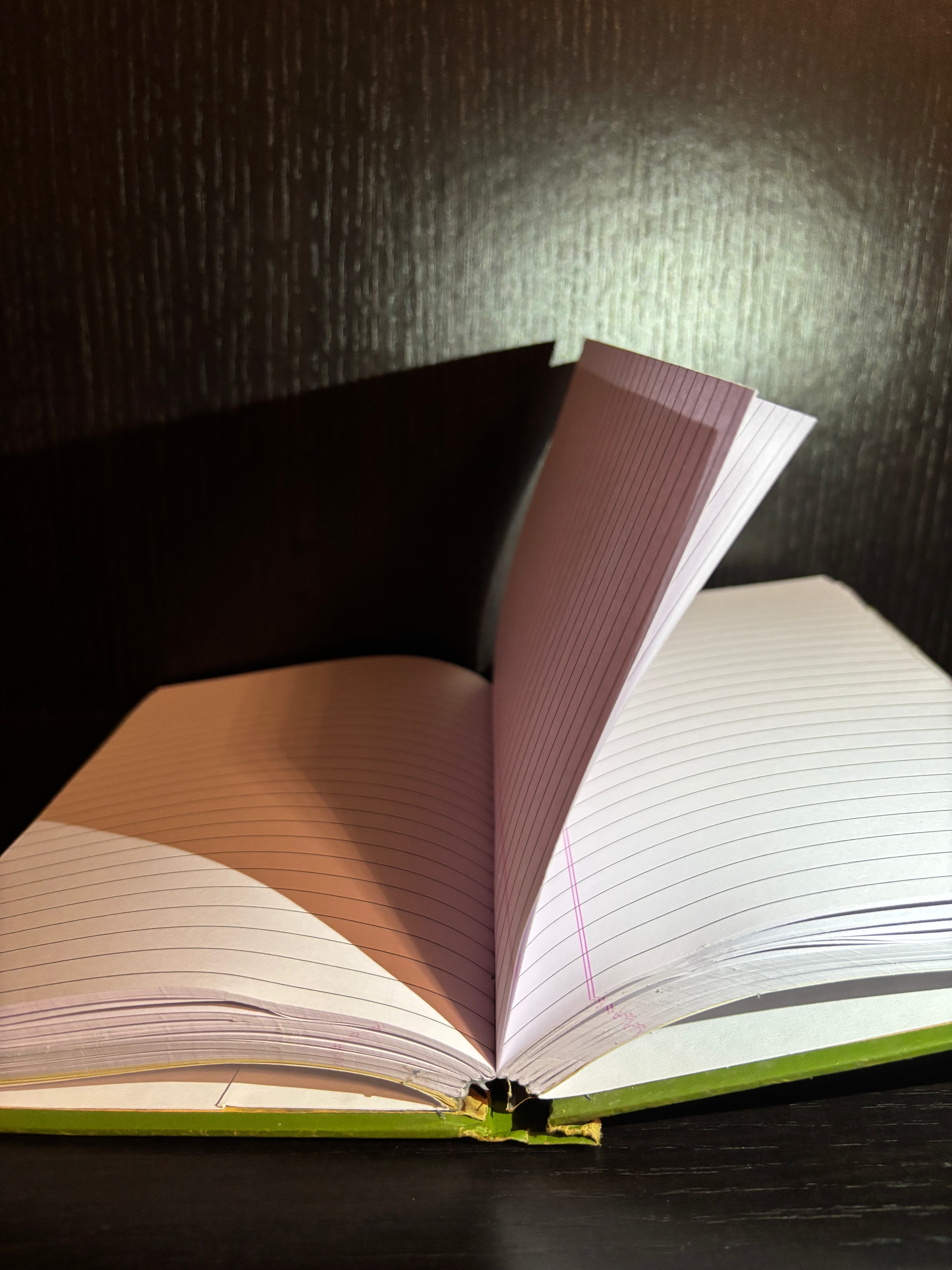 The Adventures of Tom Sawyer (1960s) Ruled Notebook