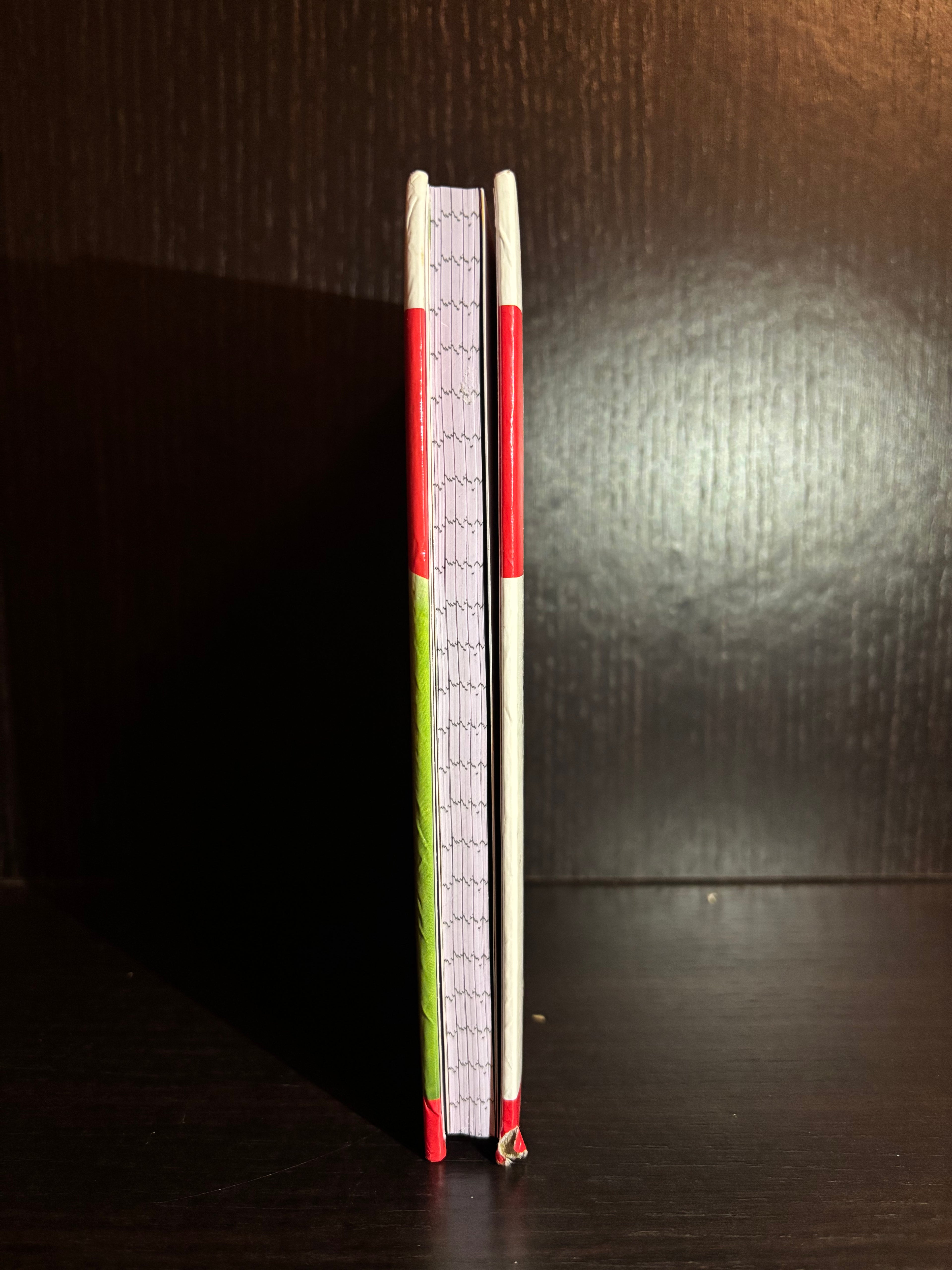 Children's Dictionary (2011) Ruled Notebook