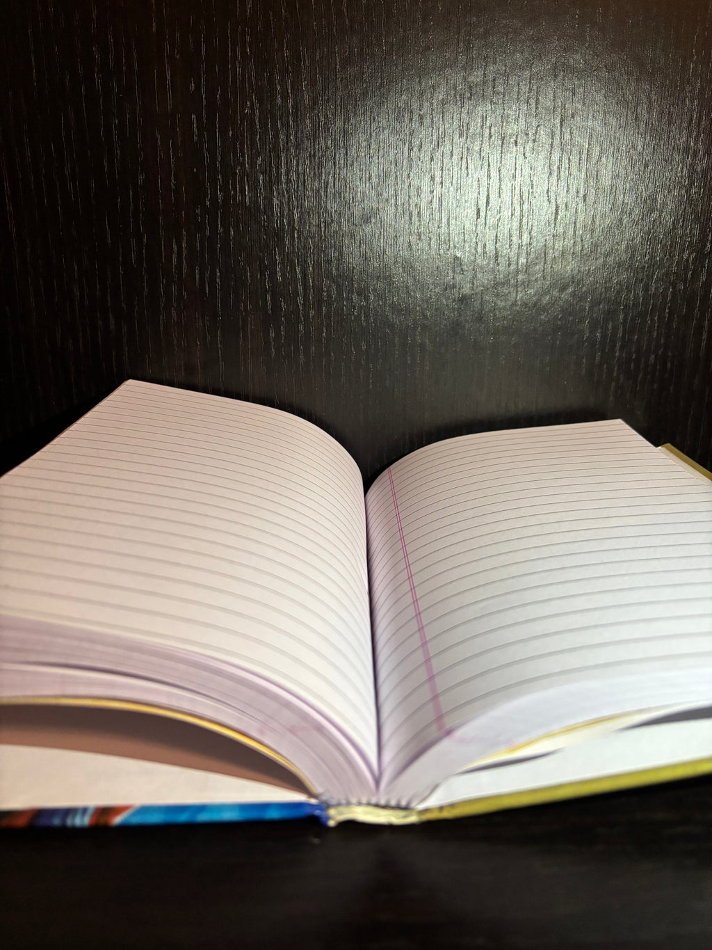 The Invisible Man (2014) Ruled Notebook