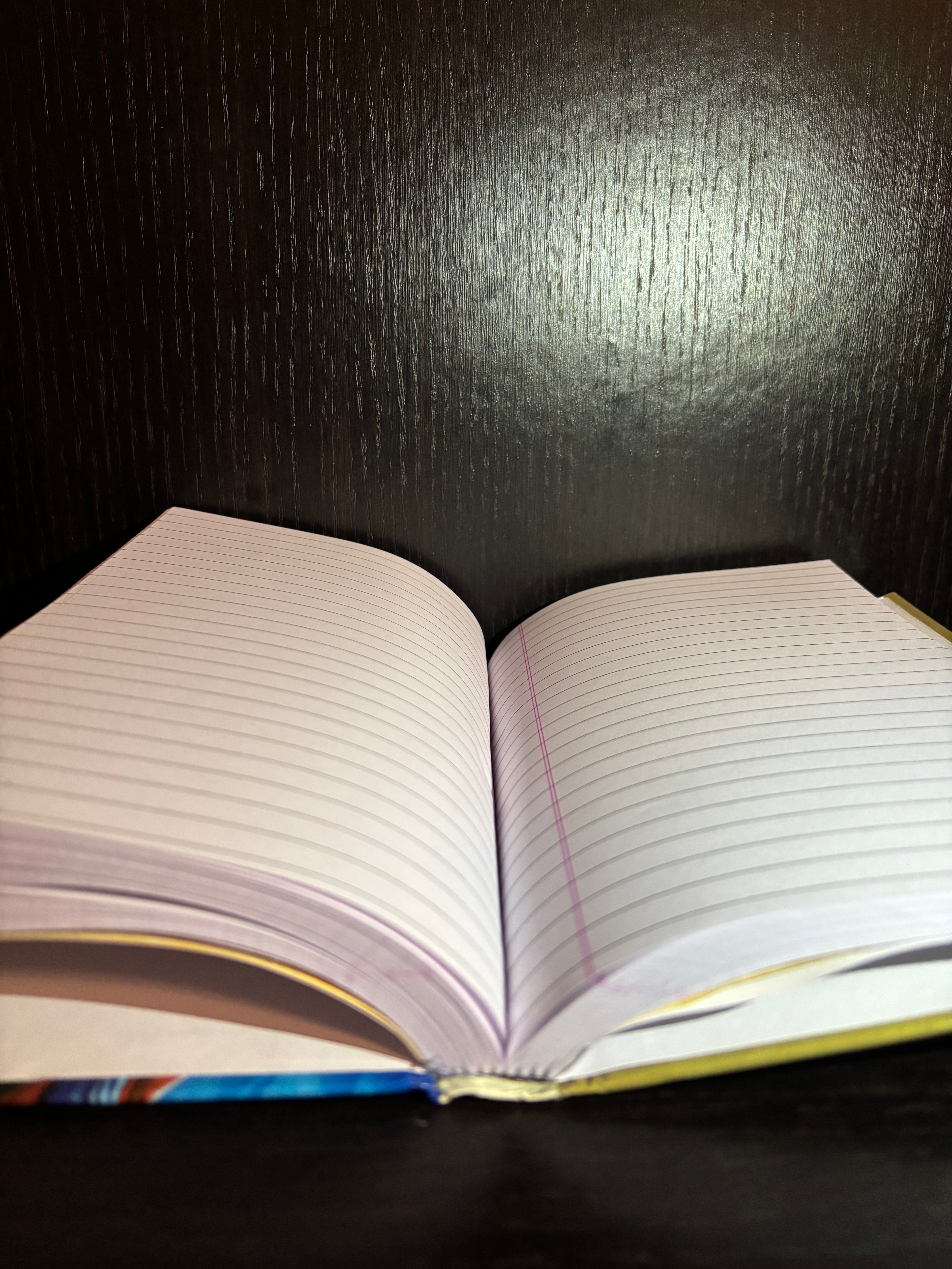 The Invisible Man (2014) Ruled Notebook