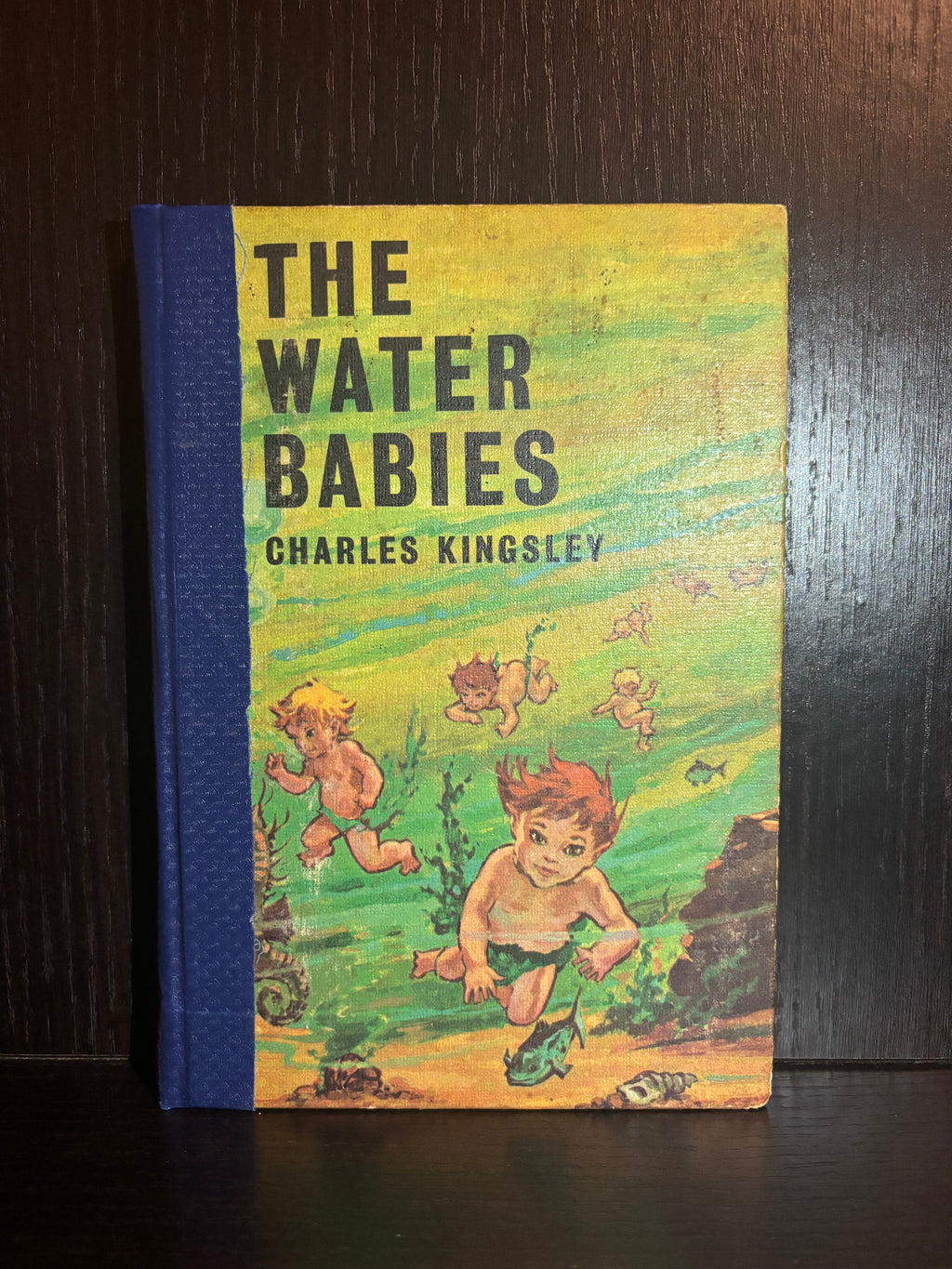 The Water Babies (1970) Plain Notebook