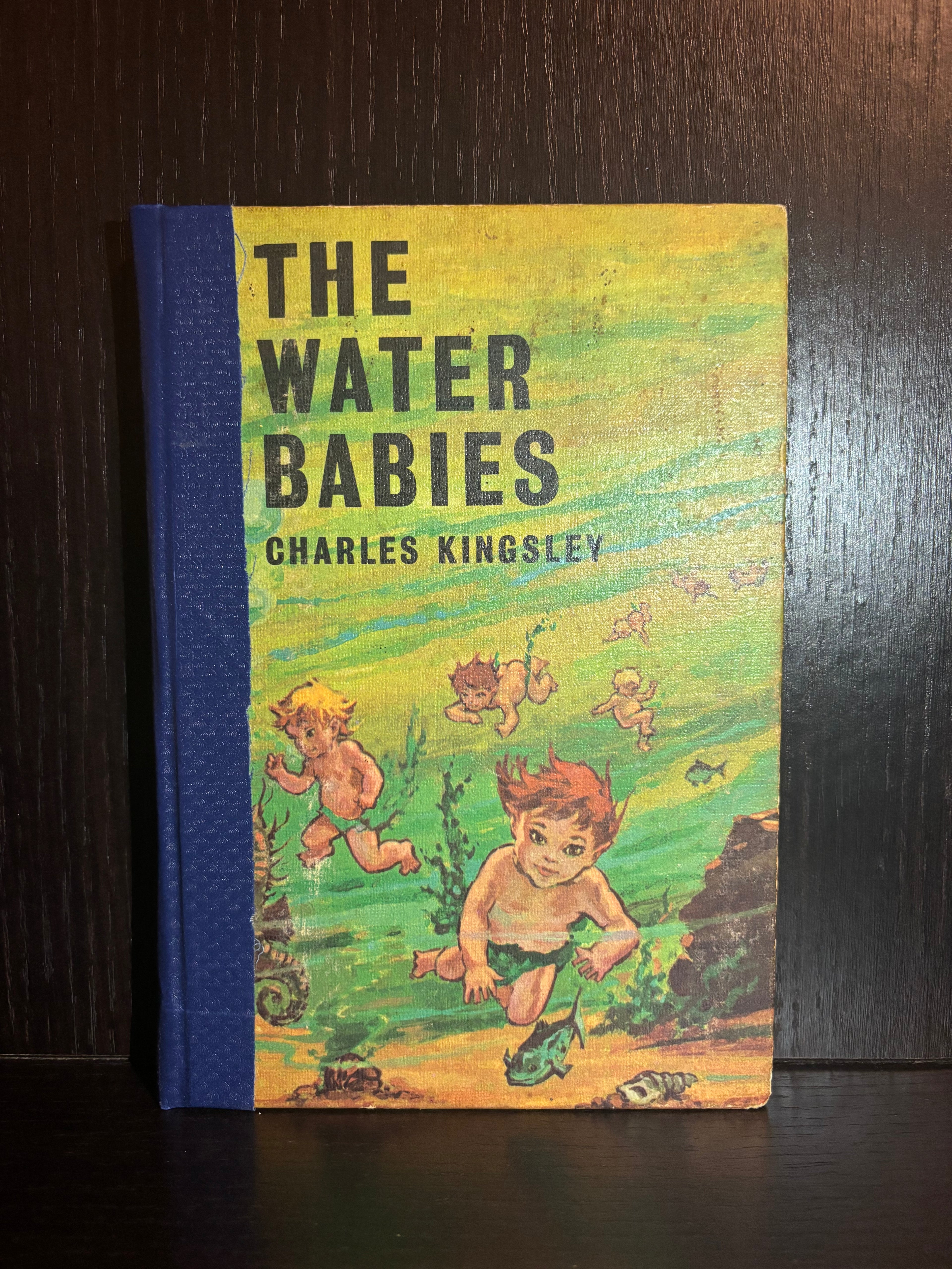 The Water Babies (1970) Plain Notebook