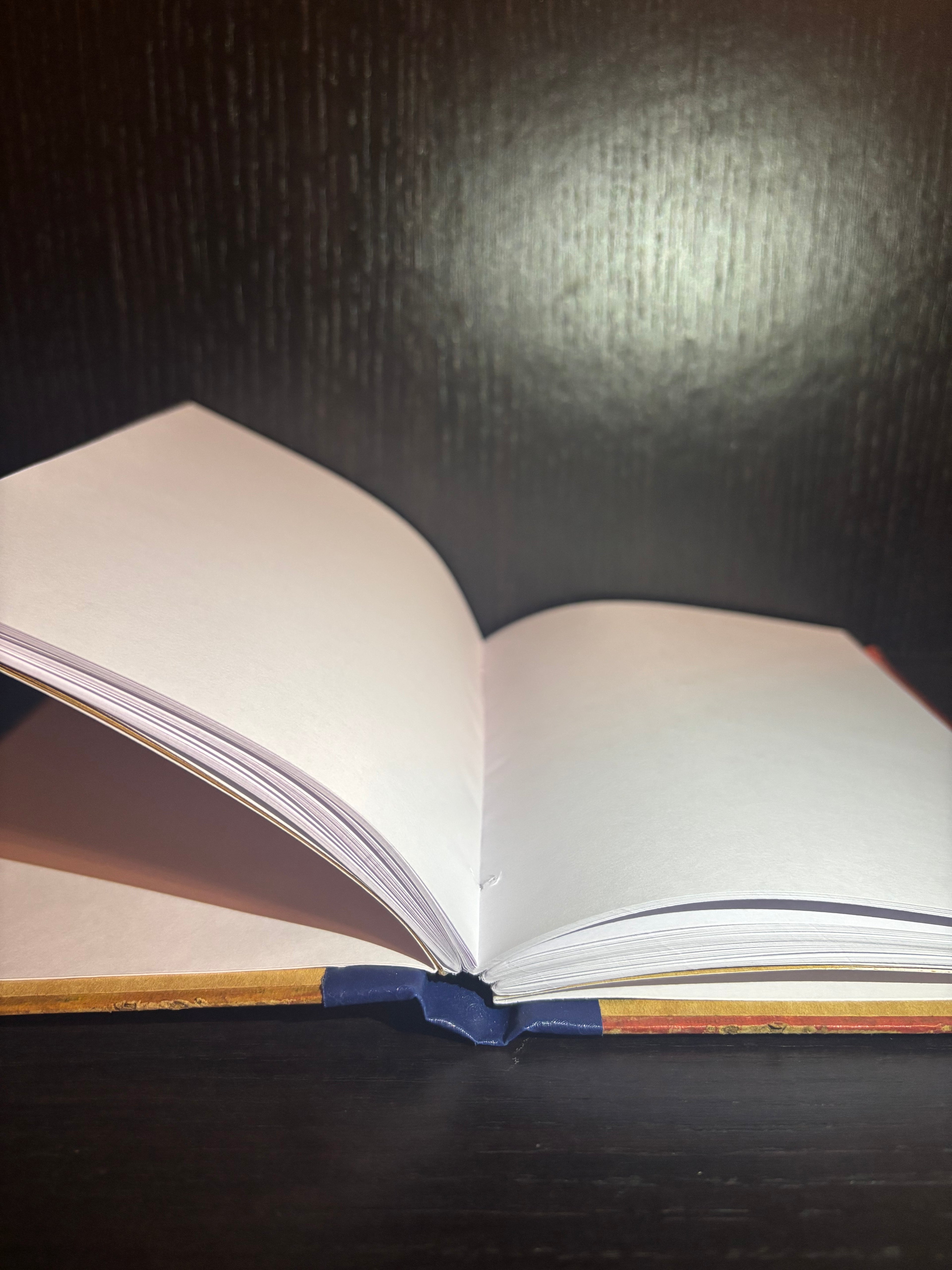 The Water Babies (1970) Plain Notebook