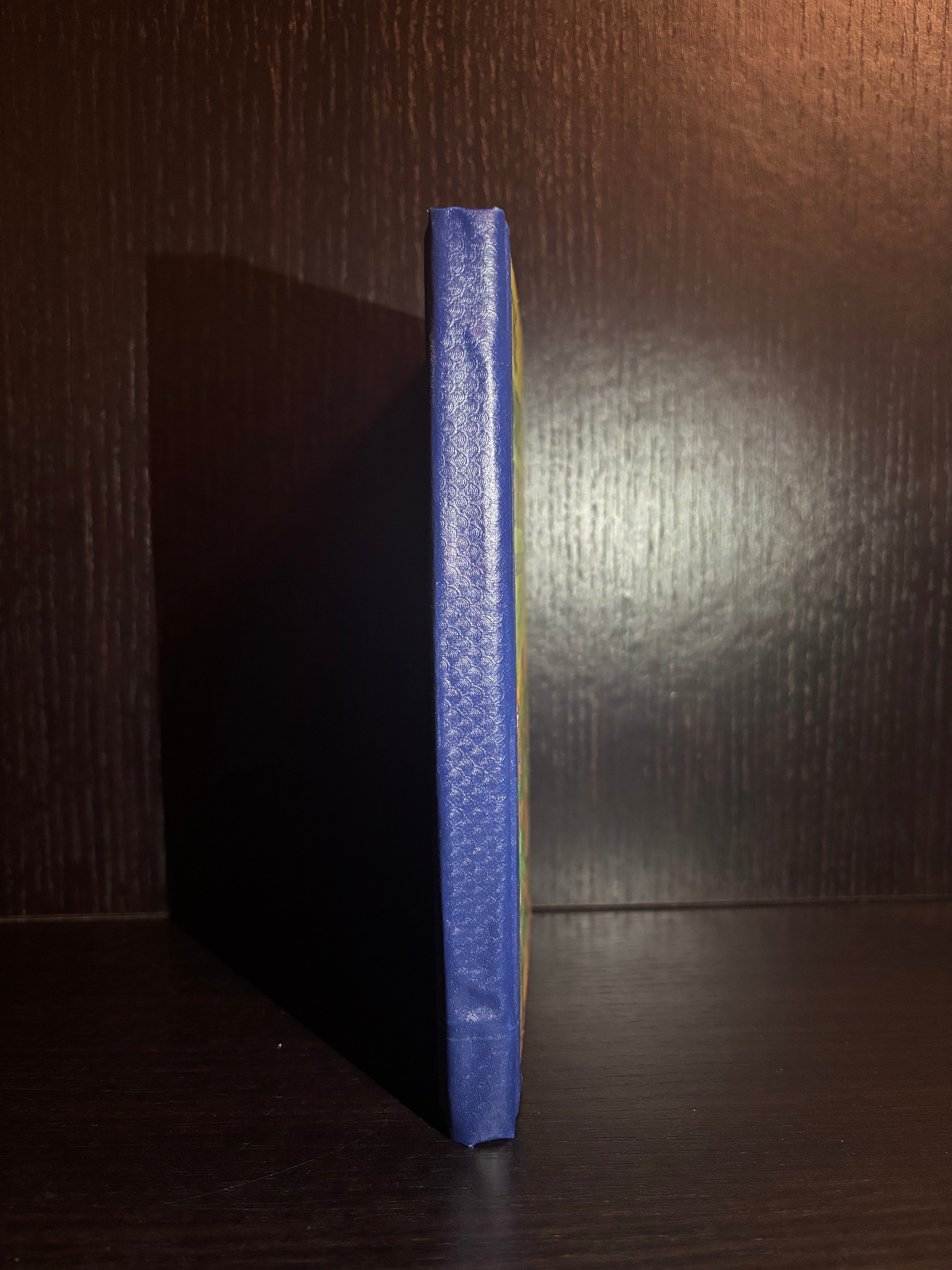 The Water Babies (1970) Plain Notebook