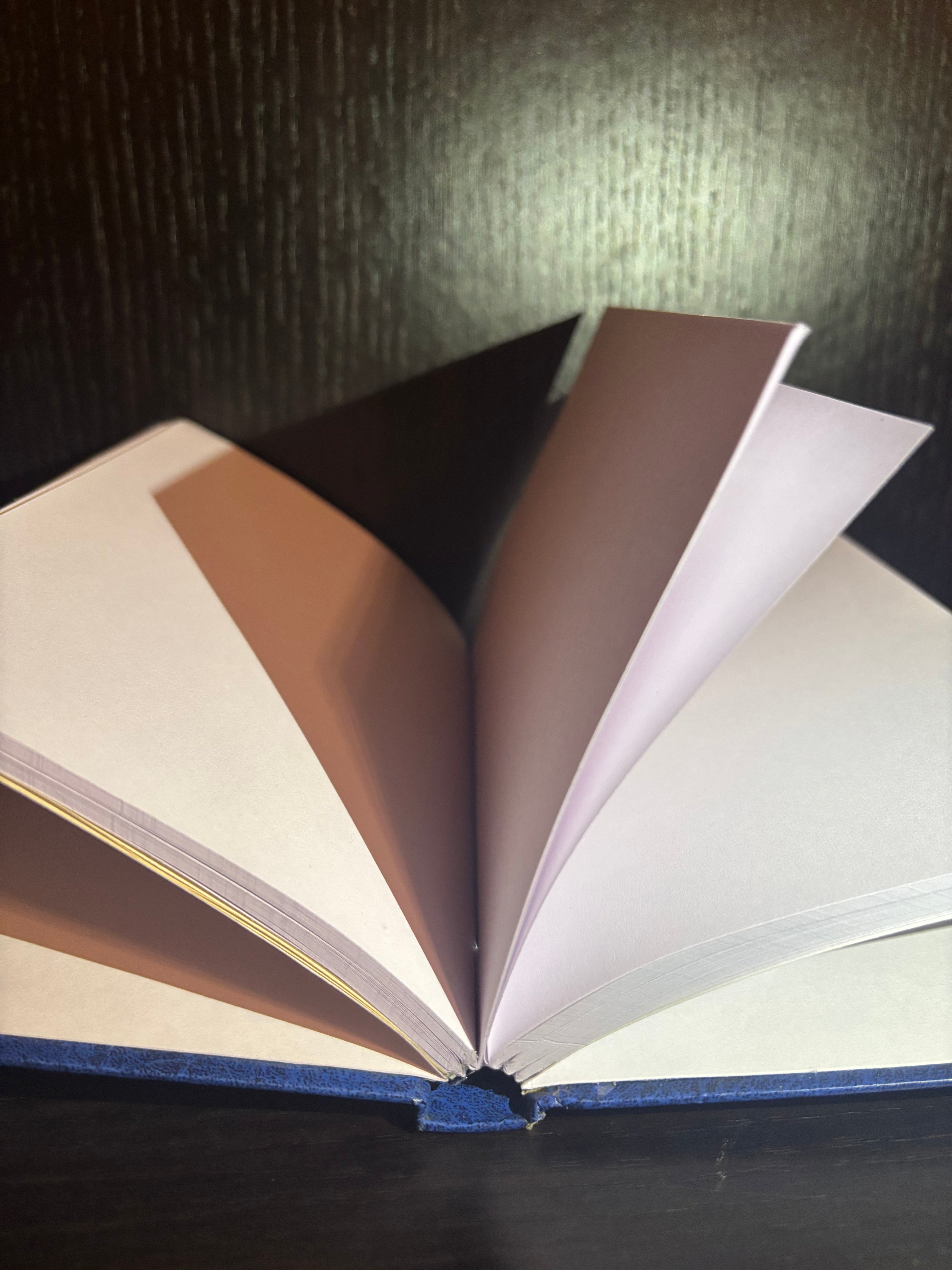 Good Wives (2000s) Plain Notebook