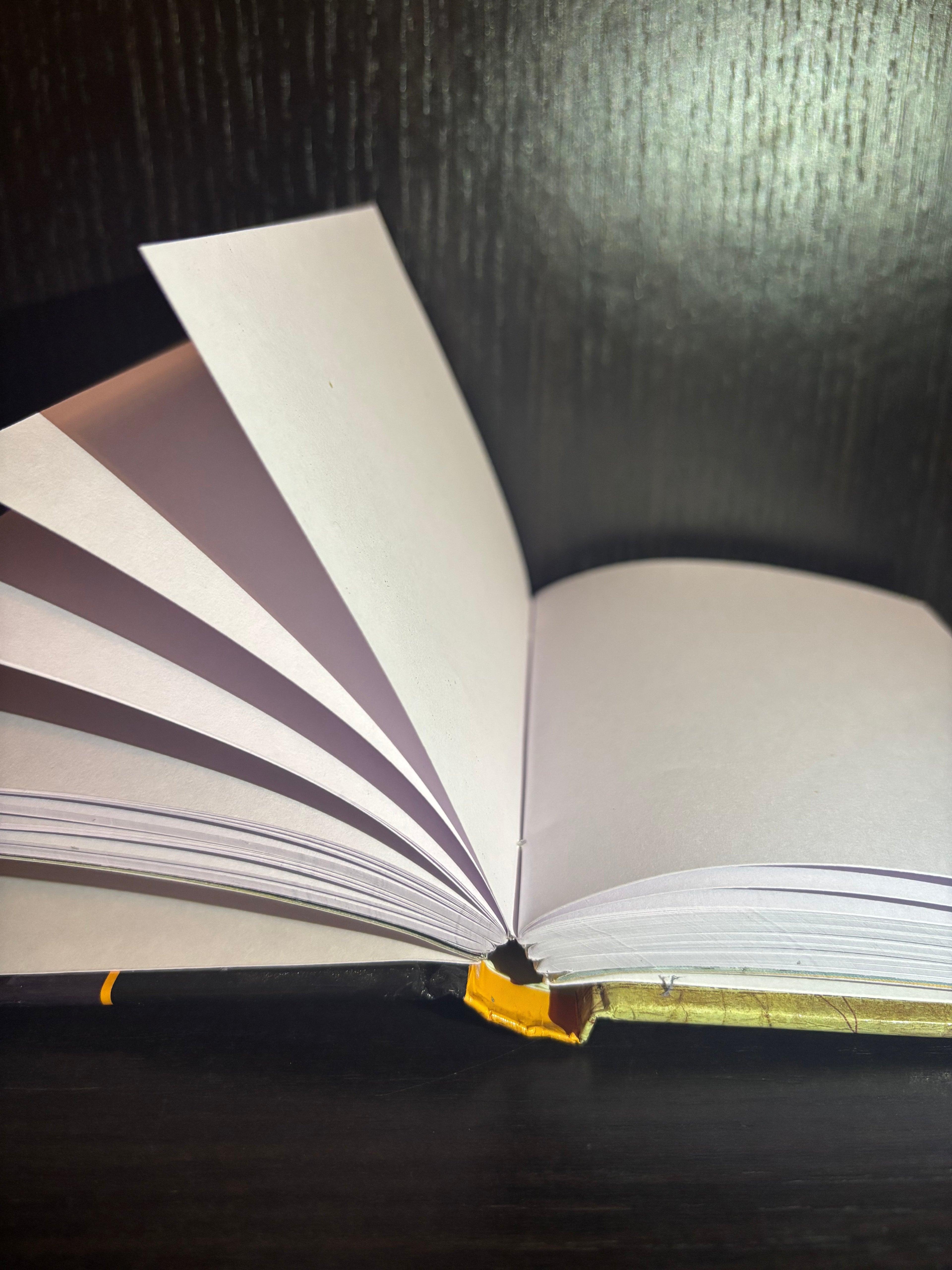 Great Explorers (2011) Plain Notebook