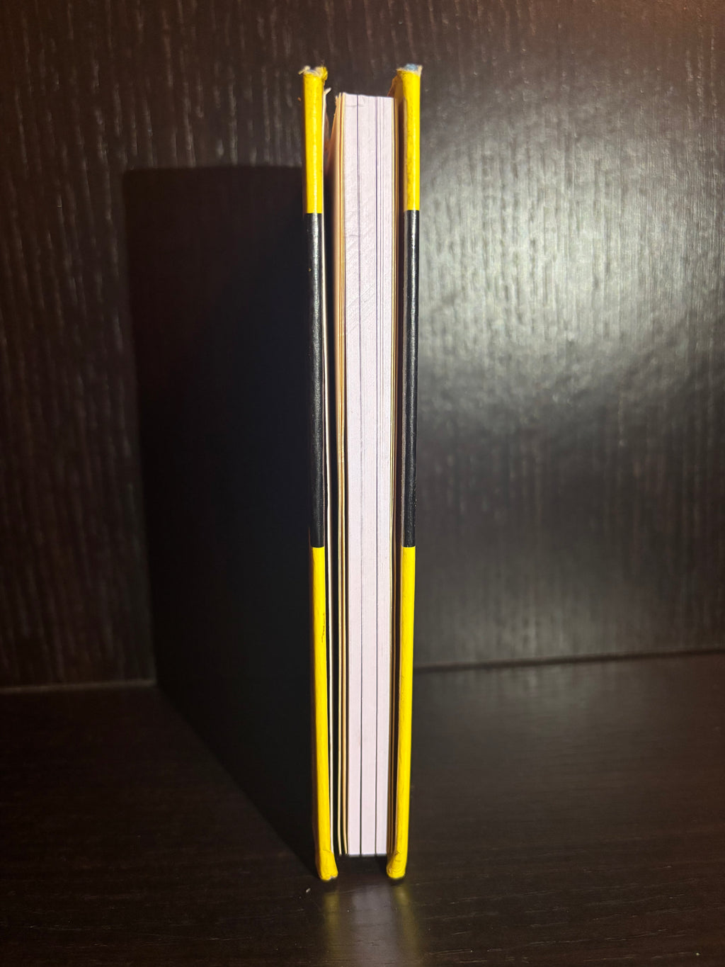 Brickwork (1970) Plain Notebook